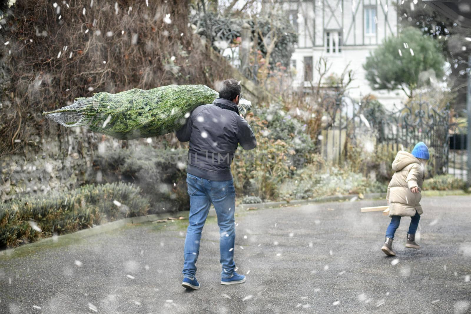 Father bought a Christmas tree and is carrying at home