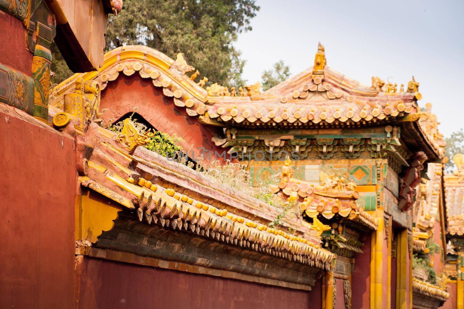 Forbidden City by arinahabich