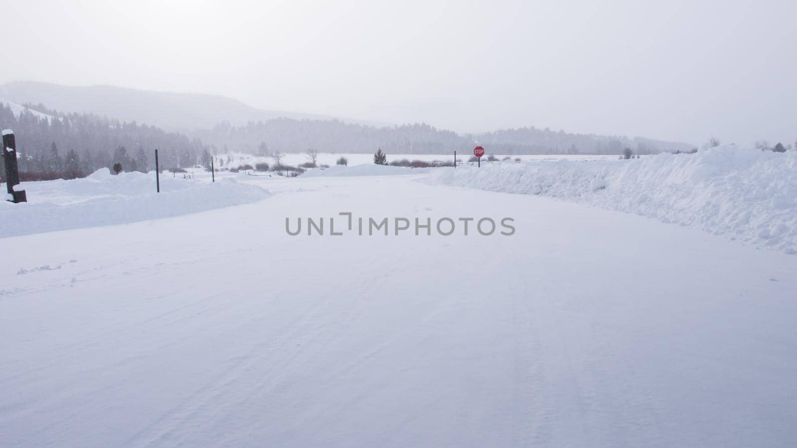 Empty winter road.