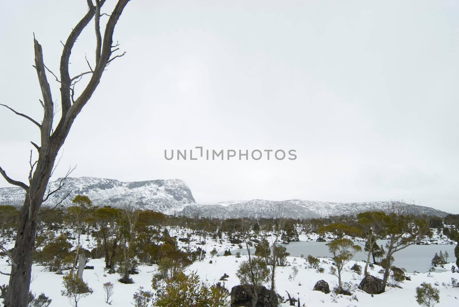 a winter view looking across solomons jewels towards herrods gate, king davids peak and mount ophel