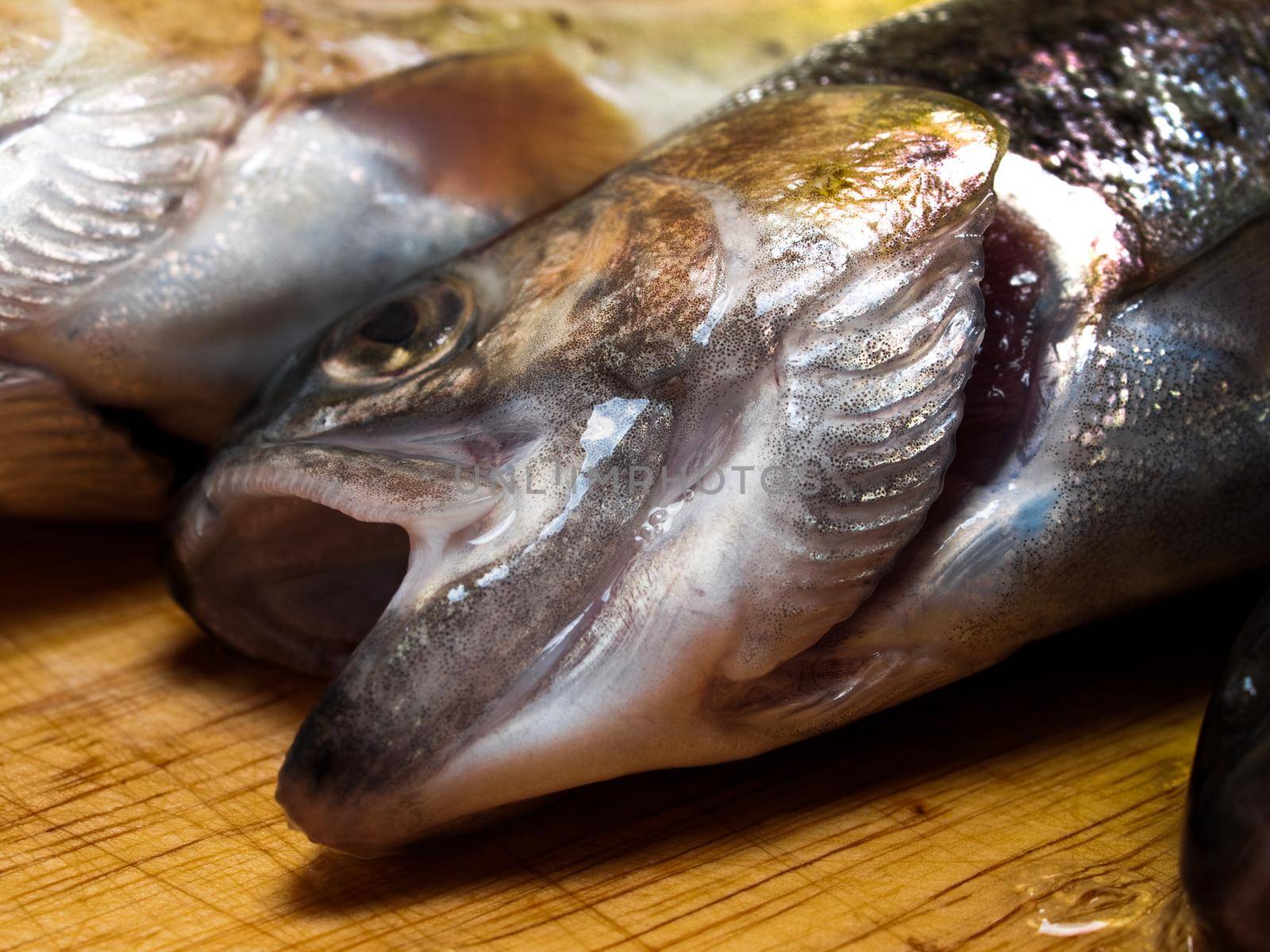 Fresh catched trout.