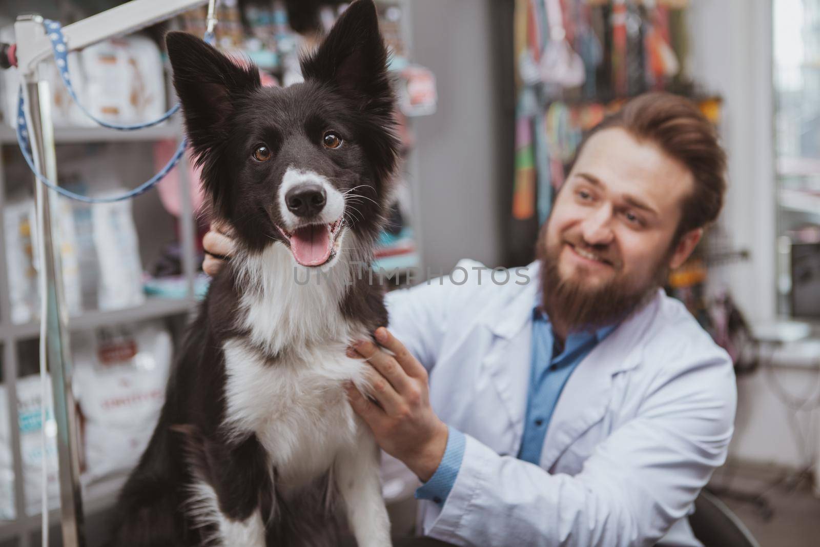 Bearded cheerful male vet smiling, petting a dog at hic clinic. Adorable black dog looking to the camera happily, sitting on examination table at veterinary clinic, copy space