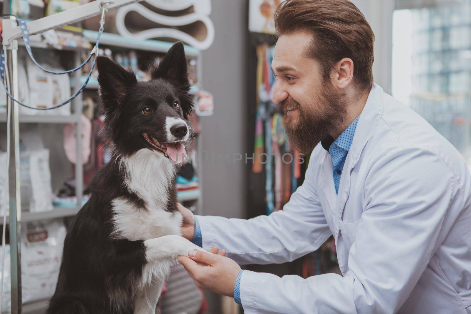 Cheerful bearded male veterinarian examining beautiful dog by MAD_Production