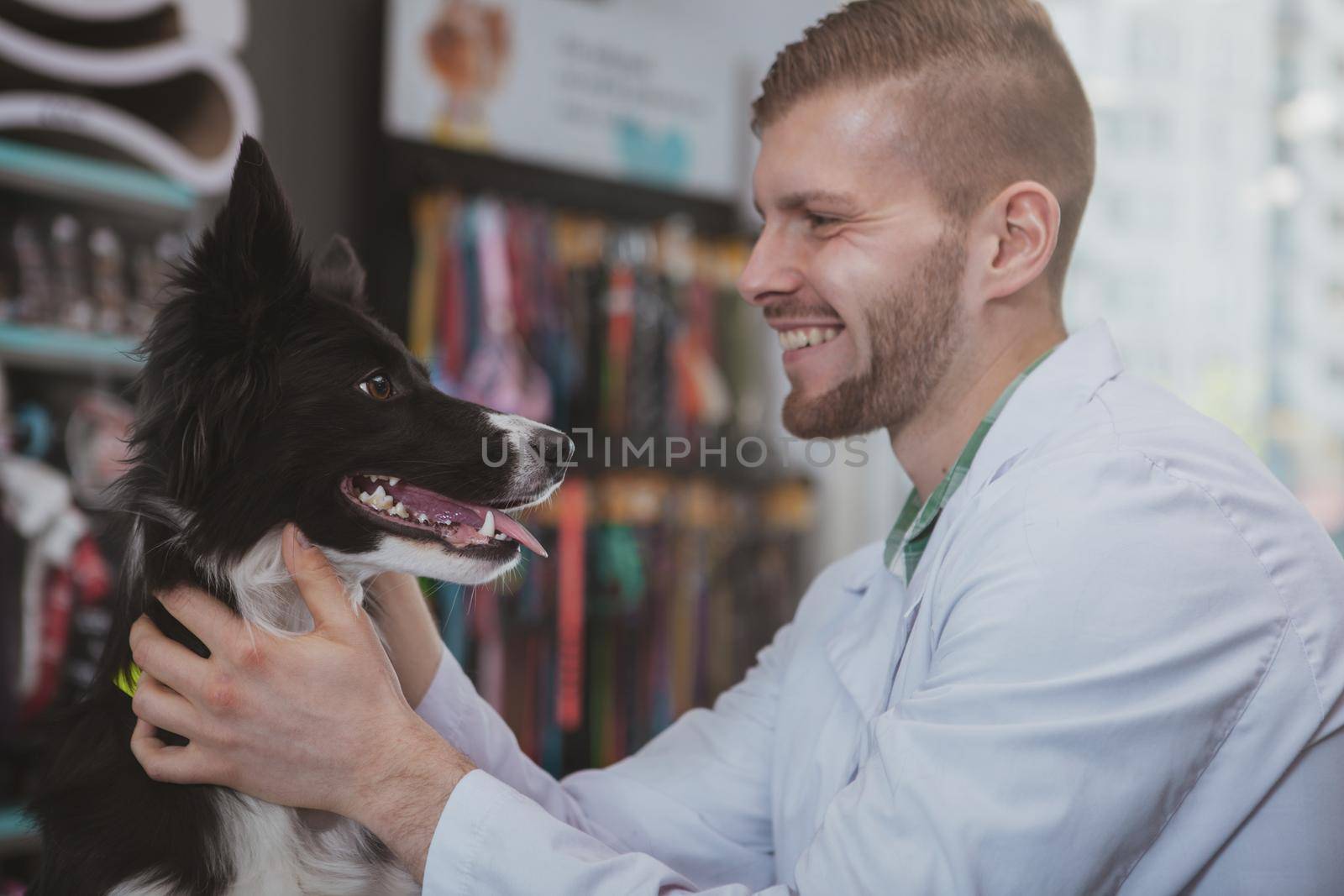 Handsome young male veterinarian smiling joyfully, sitting face to face with beautiful healthy dog. Cheerful vet doctor petting adorable puppy after medical examination