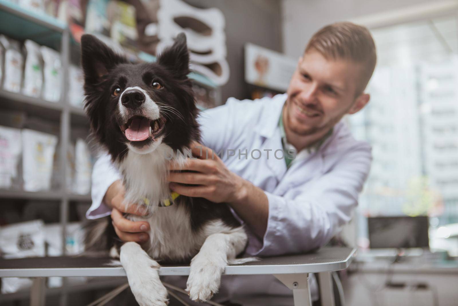 Handsome male veterinarian working at his clinic by MAD_Production