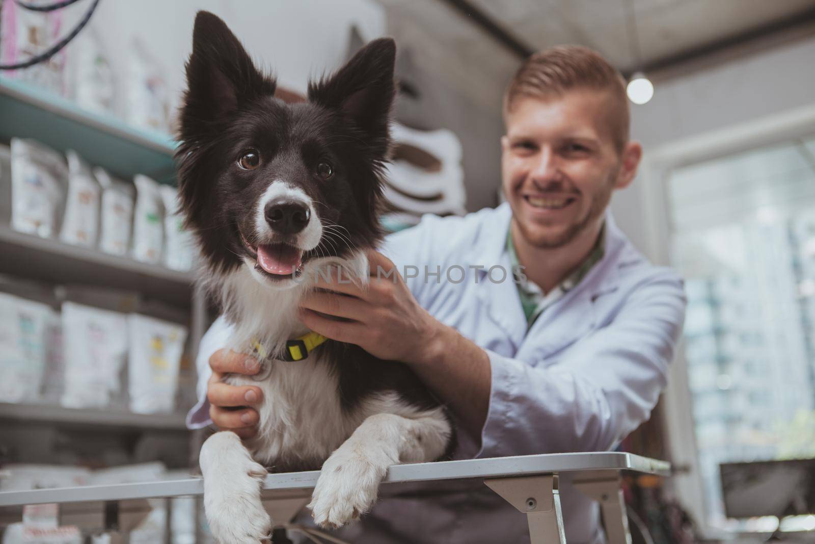 Adorable healthy happy dog looking to the camera with its tongue out, handsome male vet working at his clinic. Professional veterinarian petting cute black dog on examination table
