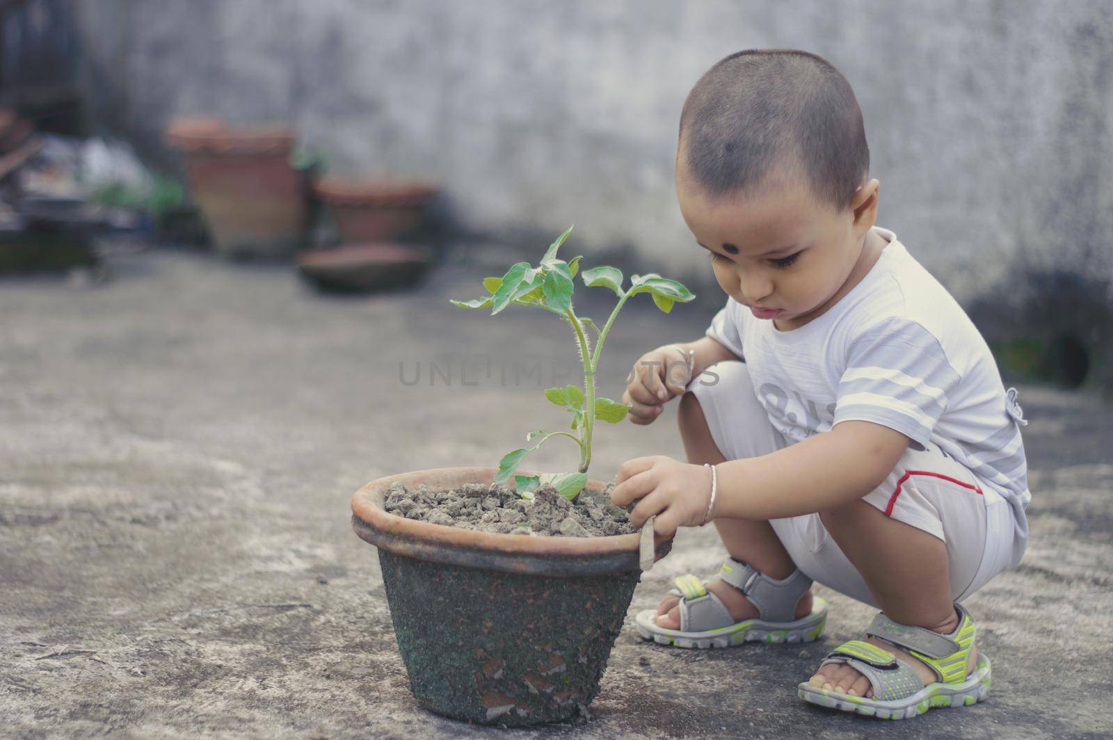 Cute Little baby boy with Flower tub loves to play in the dirt. by sudiptabhowmick