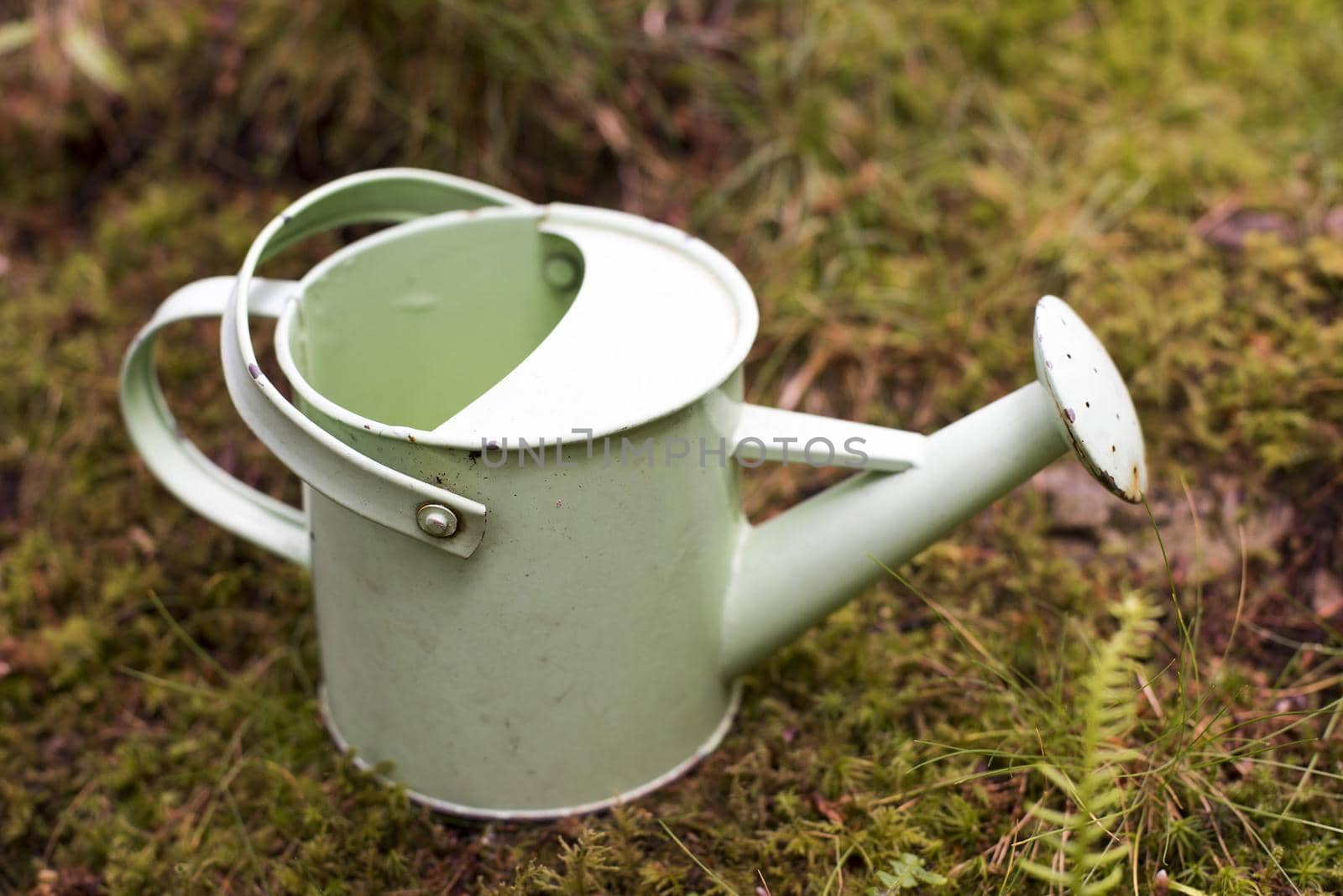 Small white metal watering can outdoors in garden by sanisra