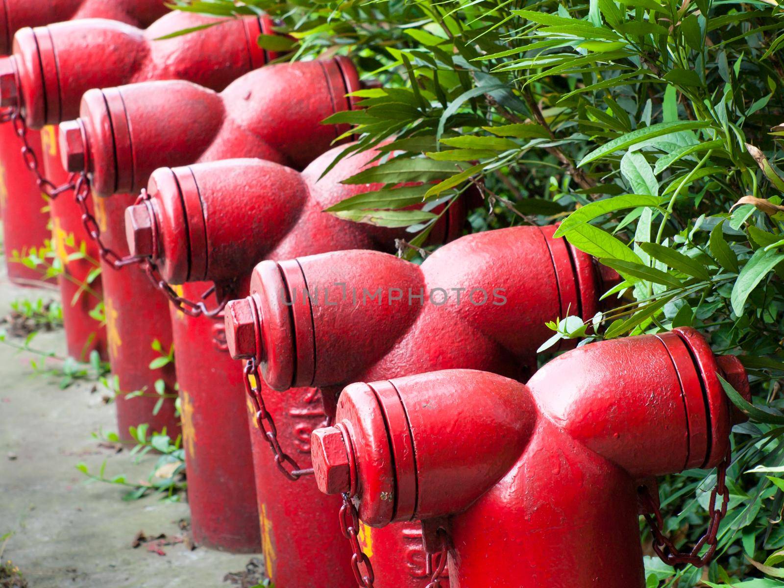Row of red fire hydrants in Shanghai, China.