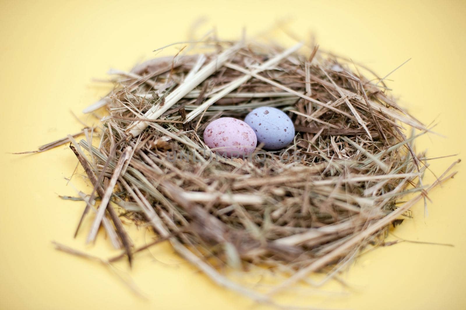 Straw nest with two pastel coloured speckled candy Easter Eggs , selective focus to eggs.