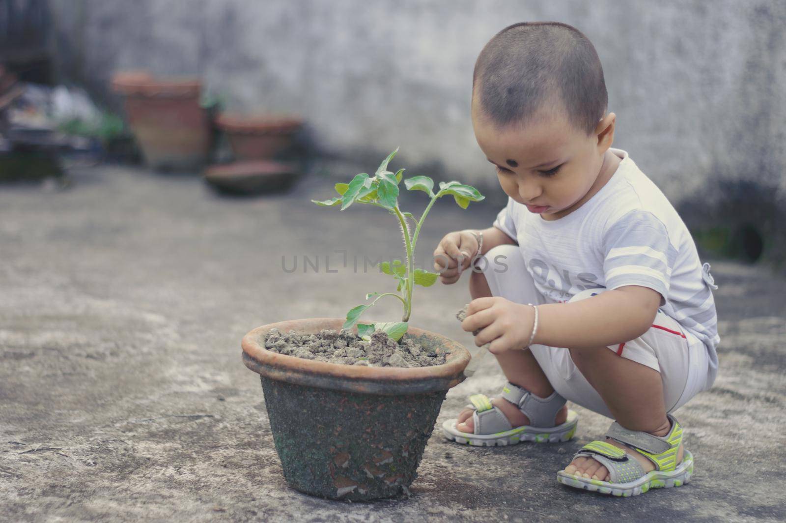 Cute Little baby boy with Flower tub loves to play in the dirt. by sudiptabhowmick