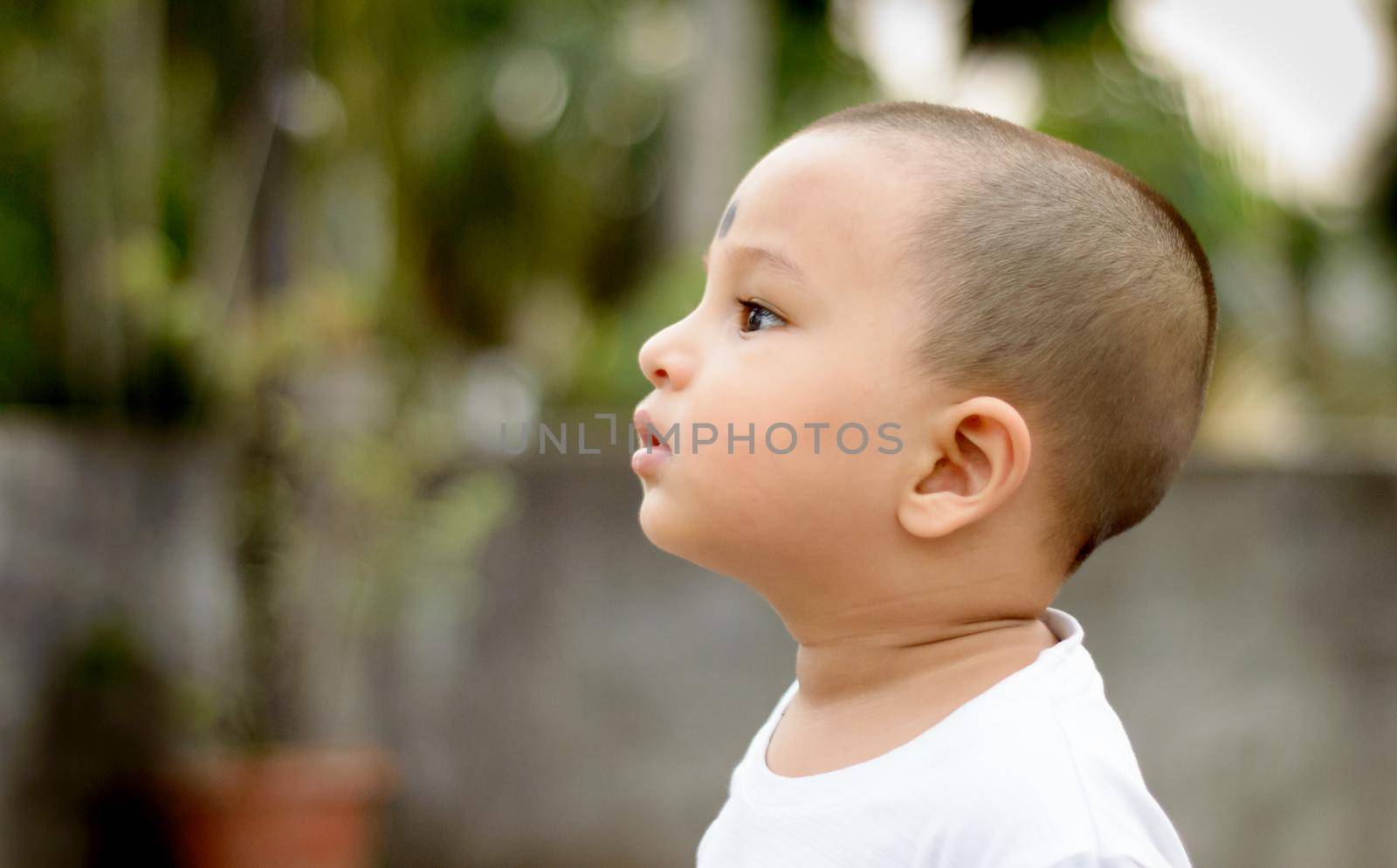 A little baby boy is surprised in the park looking into the distance. Close up. Head shot. Adorable baby boy in the evening sunlight.