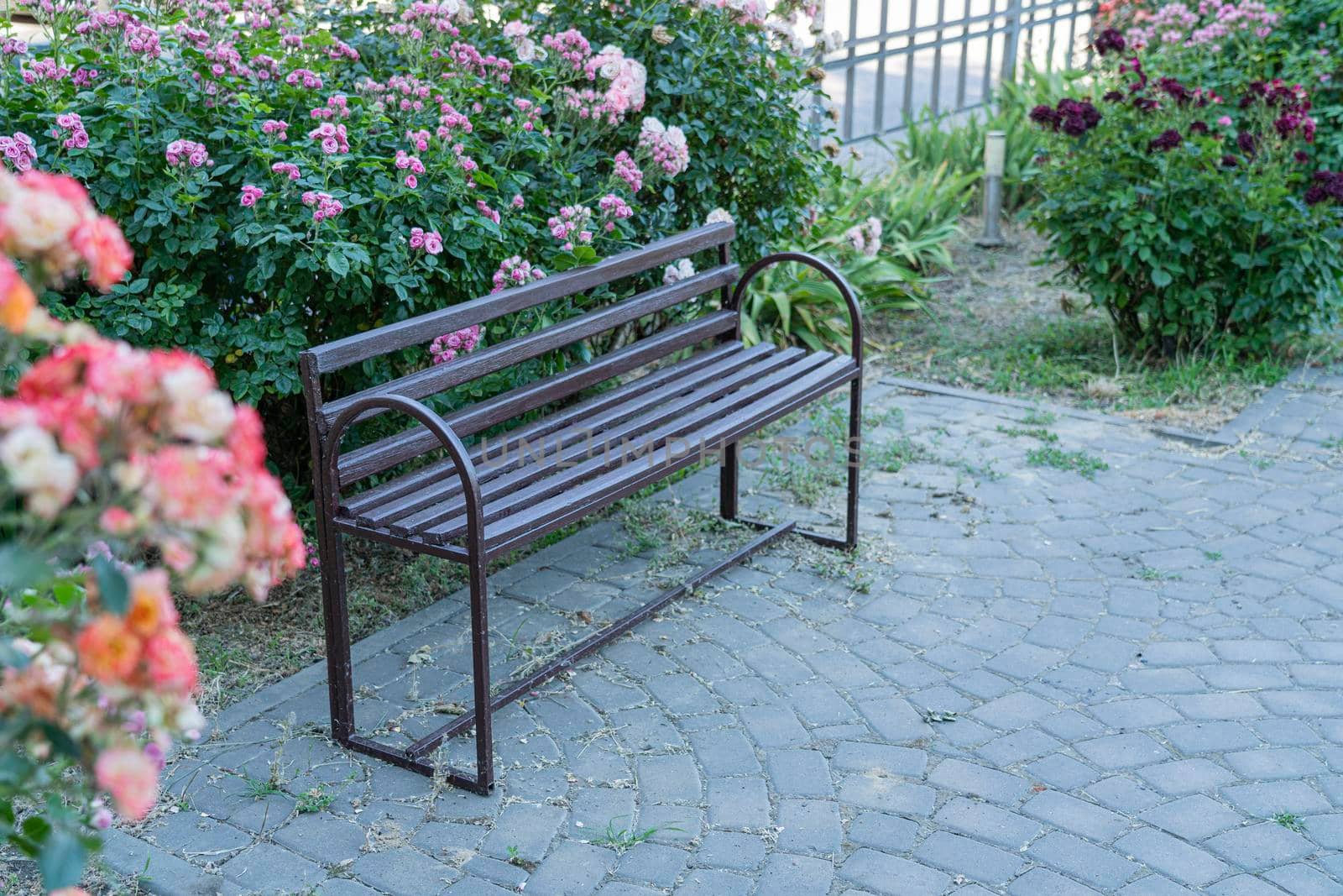 an empty bench on the street surrounded by roses by roman112007