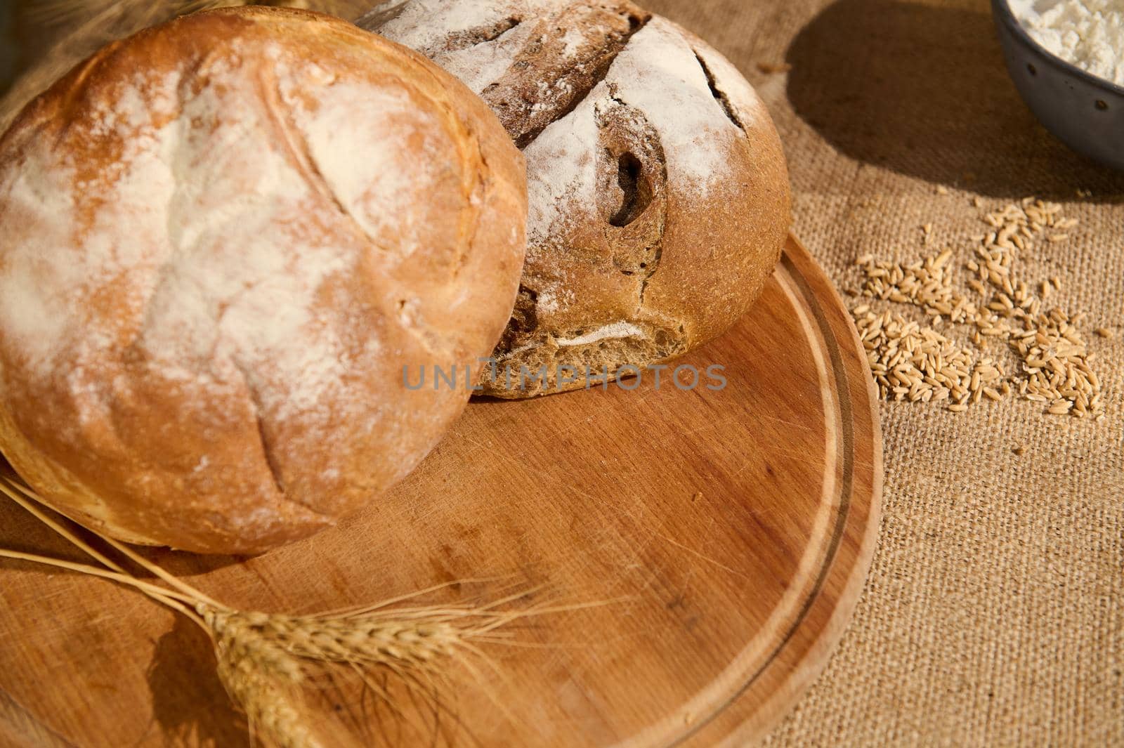 View from above of a variety of loaves of freshly baked whole grain homemade traditional bread, on a wooden board with scattered oat grains and ears of wheat on a burlap tablecloth. Selective focus