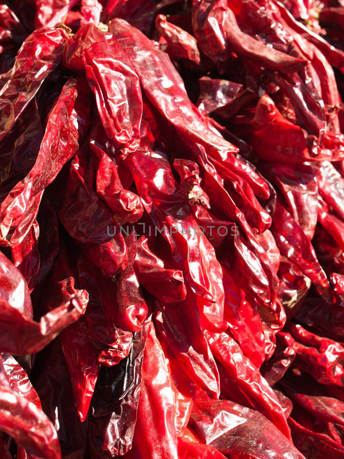 Dried red hot chili peppers. A staple of many Mexican dishes.