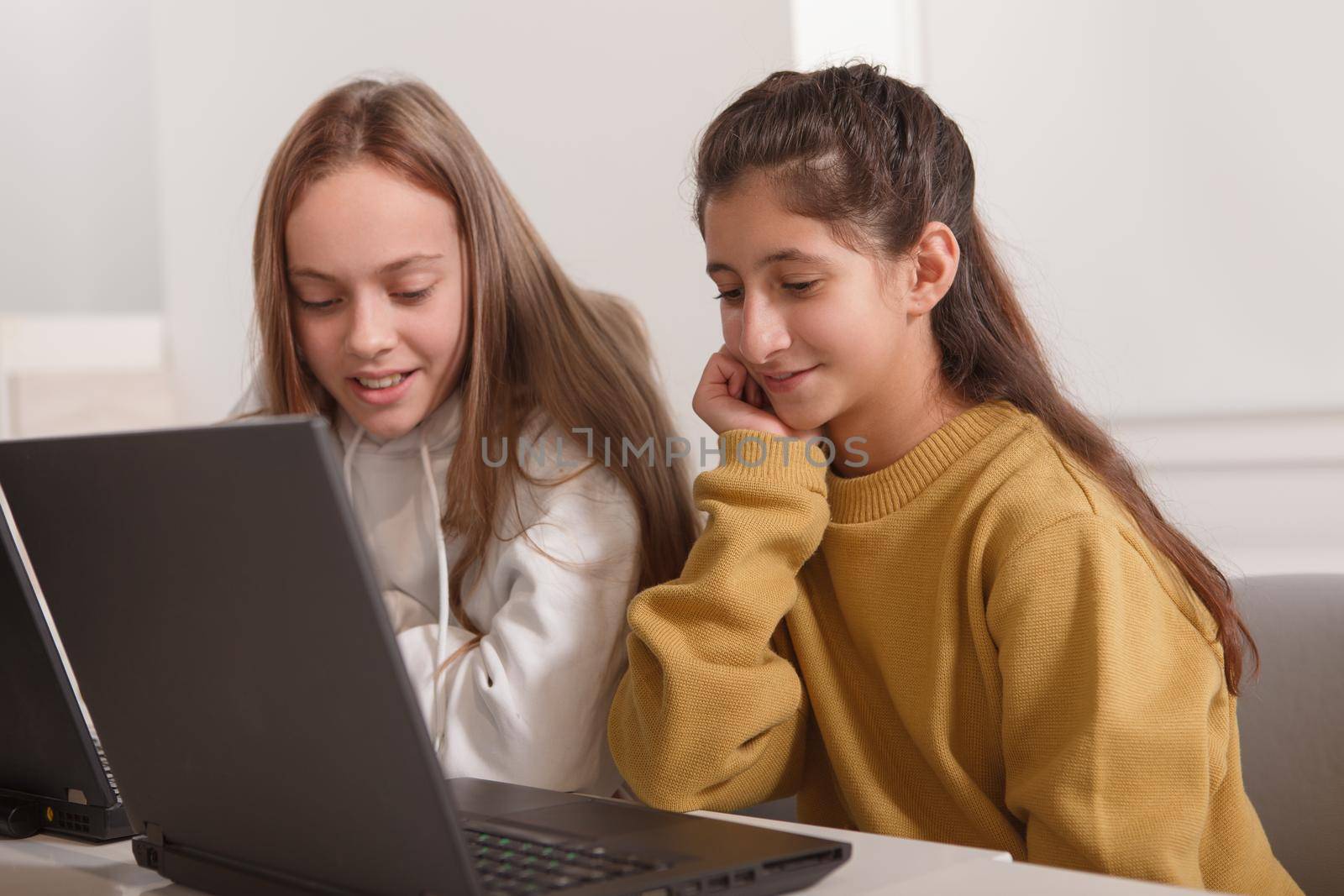 Two charming teenage girls working on a school project together on a computer