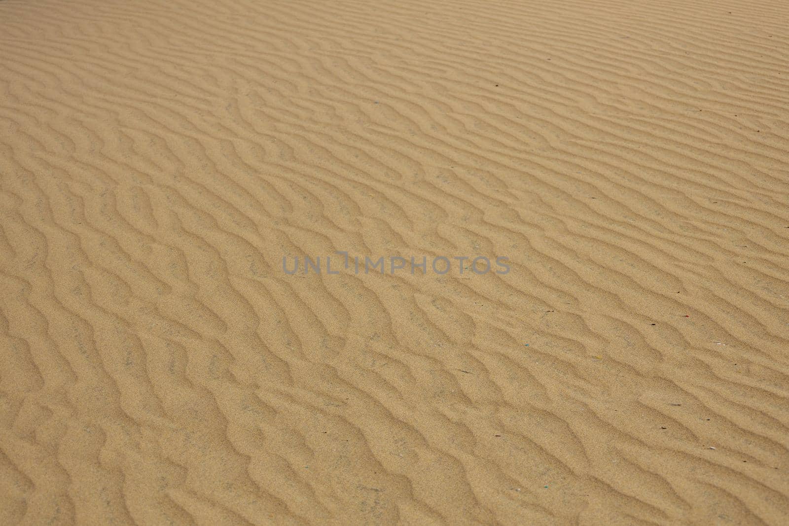 Gran Canaria dunes - Maspalomas sand desert. High-quality photo