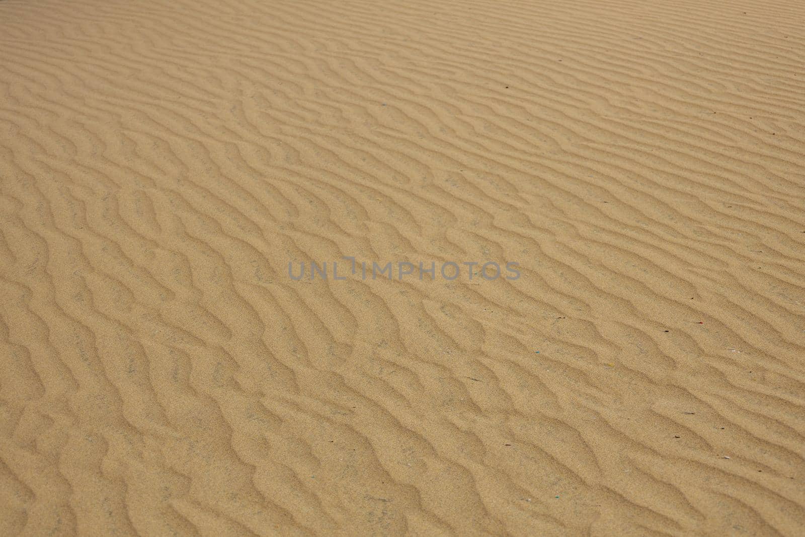 Gran Canaria dunes - Maspalomas sand desert. High-quality photo