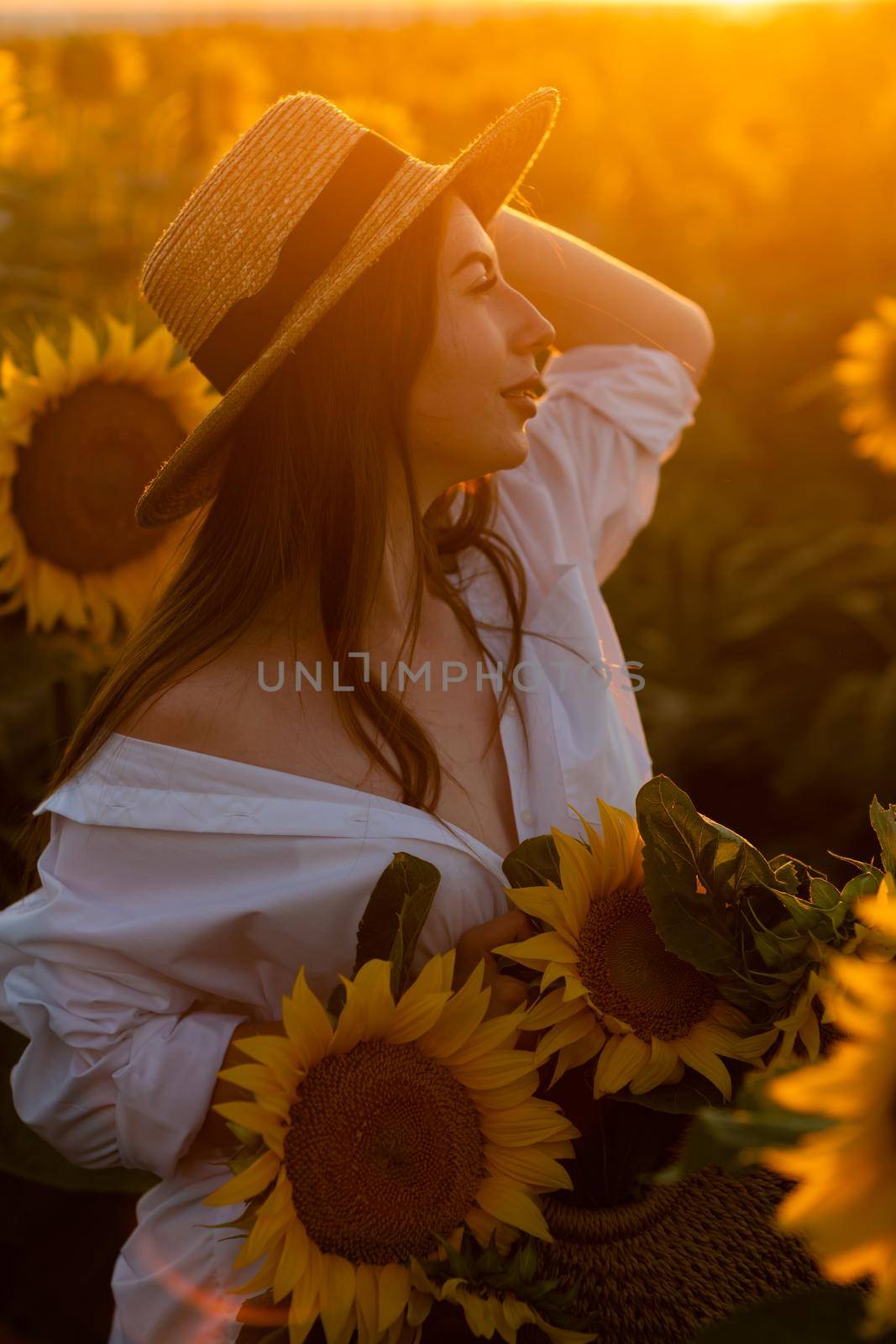 A girl in a hat on a beautiful field of sunflowers against the sky in the evening light of a summer sunset. Sunbeams through the flower field. Natural background. by Matiunina