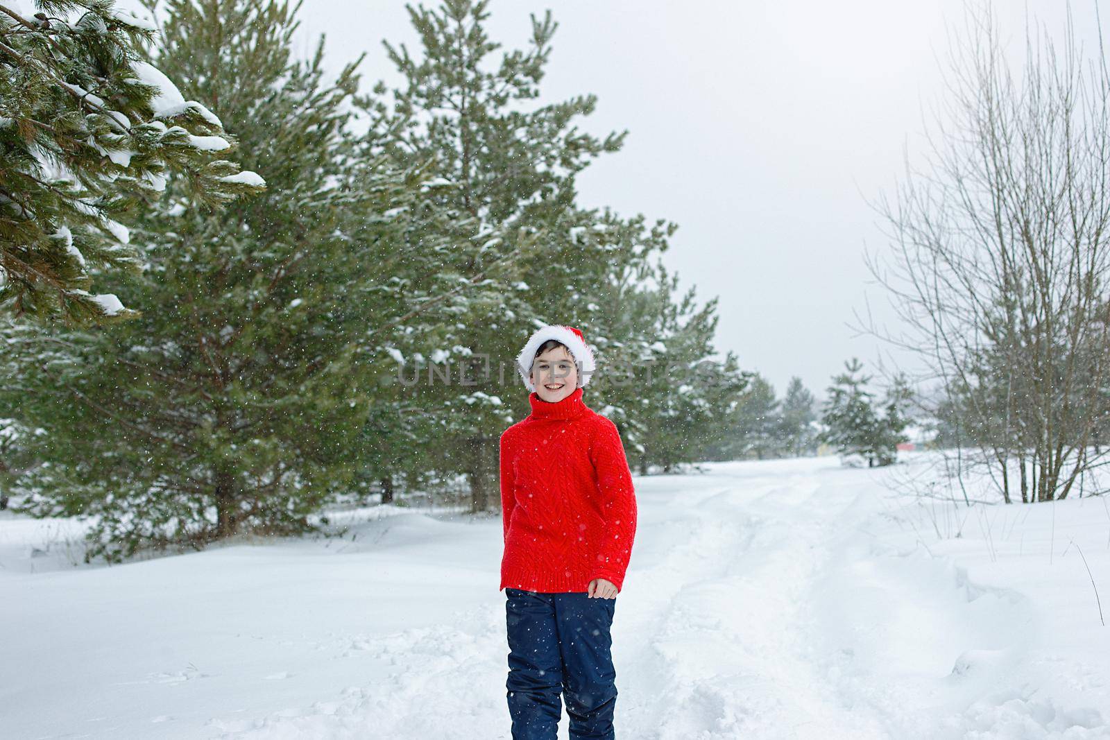 a teenager in a red sweater and a red santa claus hat walks in the winter in the park, near the pines in the snow, smiling. copy space