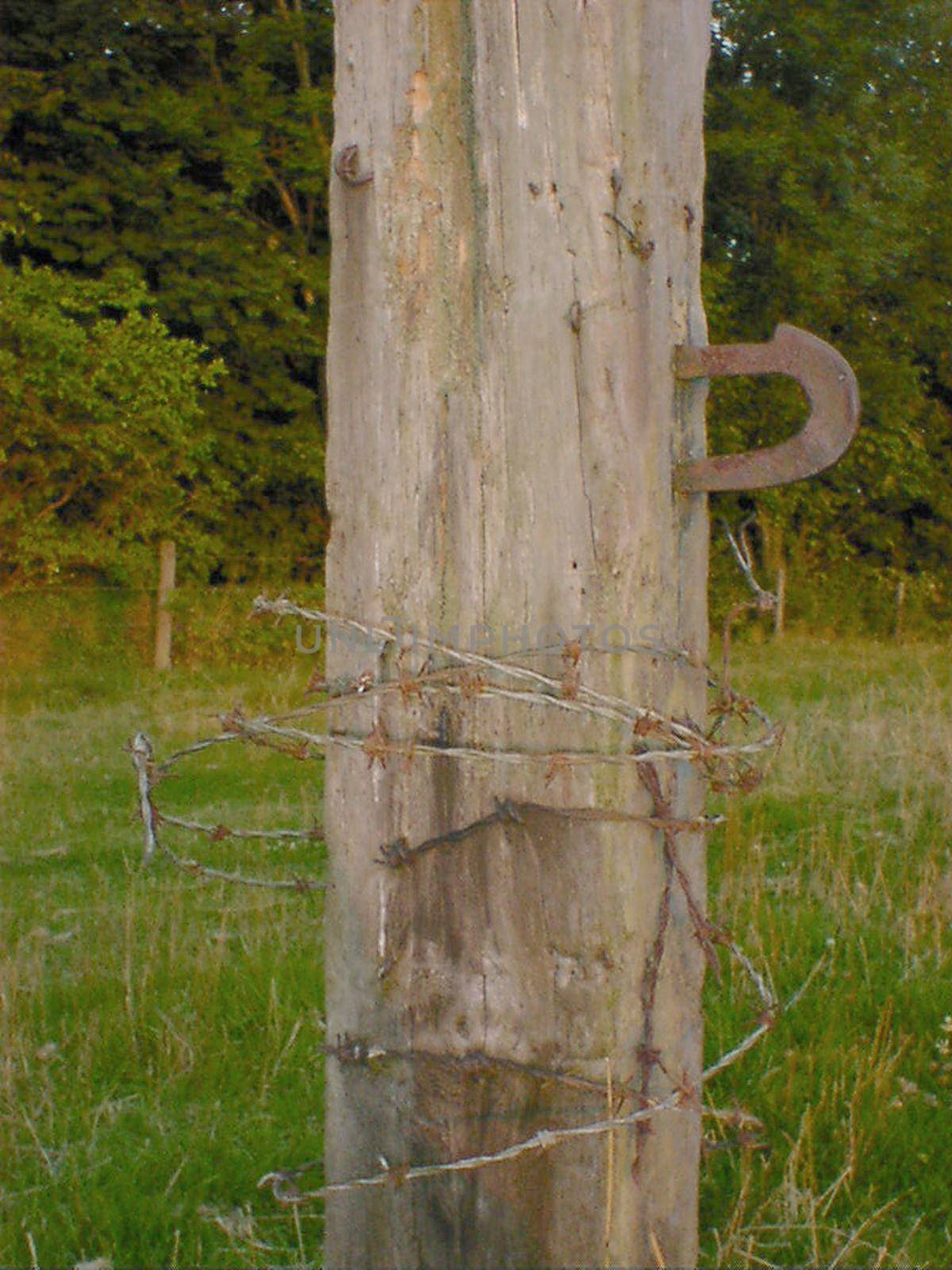 Barbed wire fence post with strands of old wire wrapped around a wooden pole with a metal latch or attachment hook in a country field