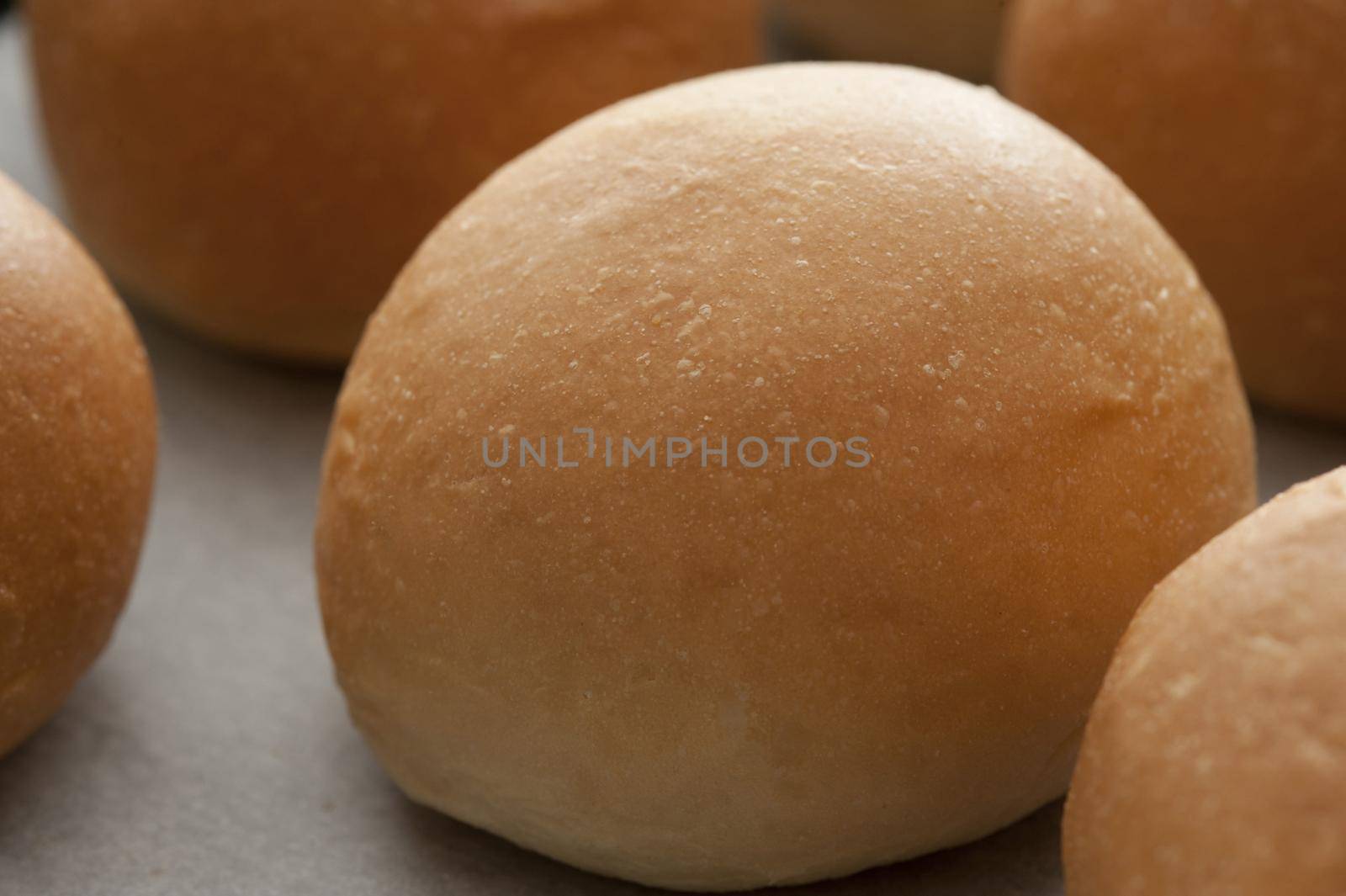 a single round bread roll