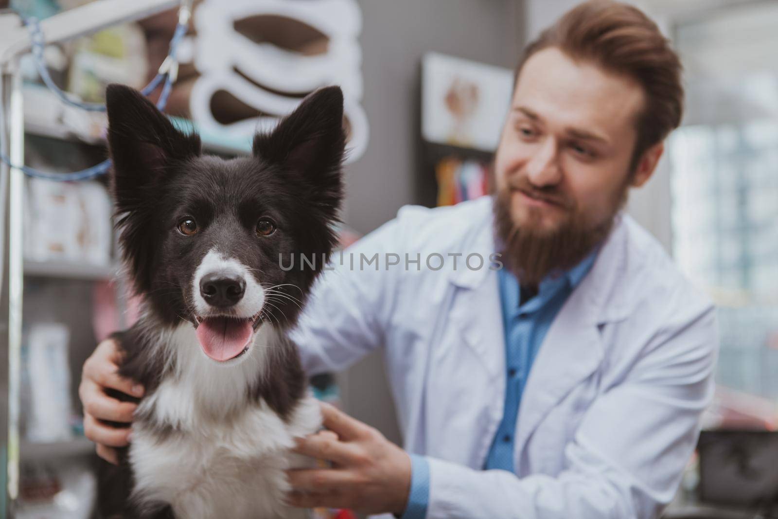 Adorable happy dog looking to the camera with its tongue out, cheerful vet smiling at his furry patient. Cheerful bearded vet doctor enjoying working with animals at his clinic