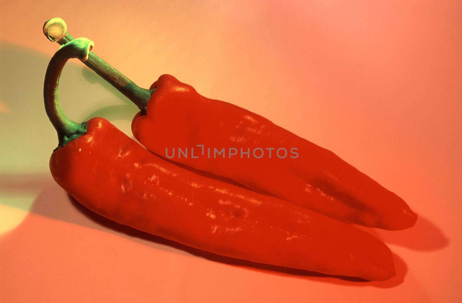 Two whole fresh red hot chili peppers, a pungent spice and flavouring used in cooking and salads