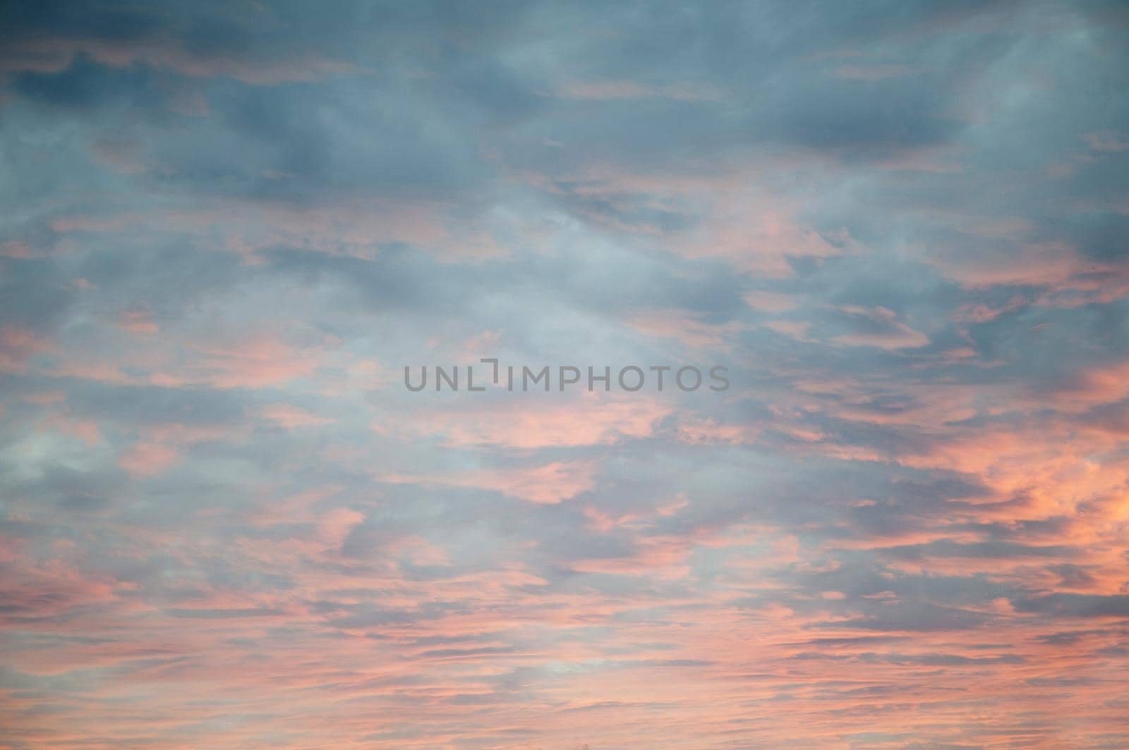 Delicate diffuse pink sunset lighting up a heavy cloud cover from below as the sun sinks below the horizon in a cloudscape and nature background