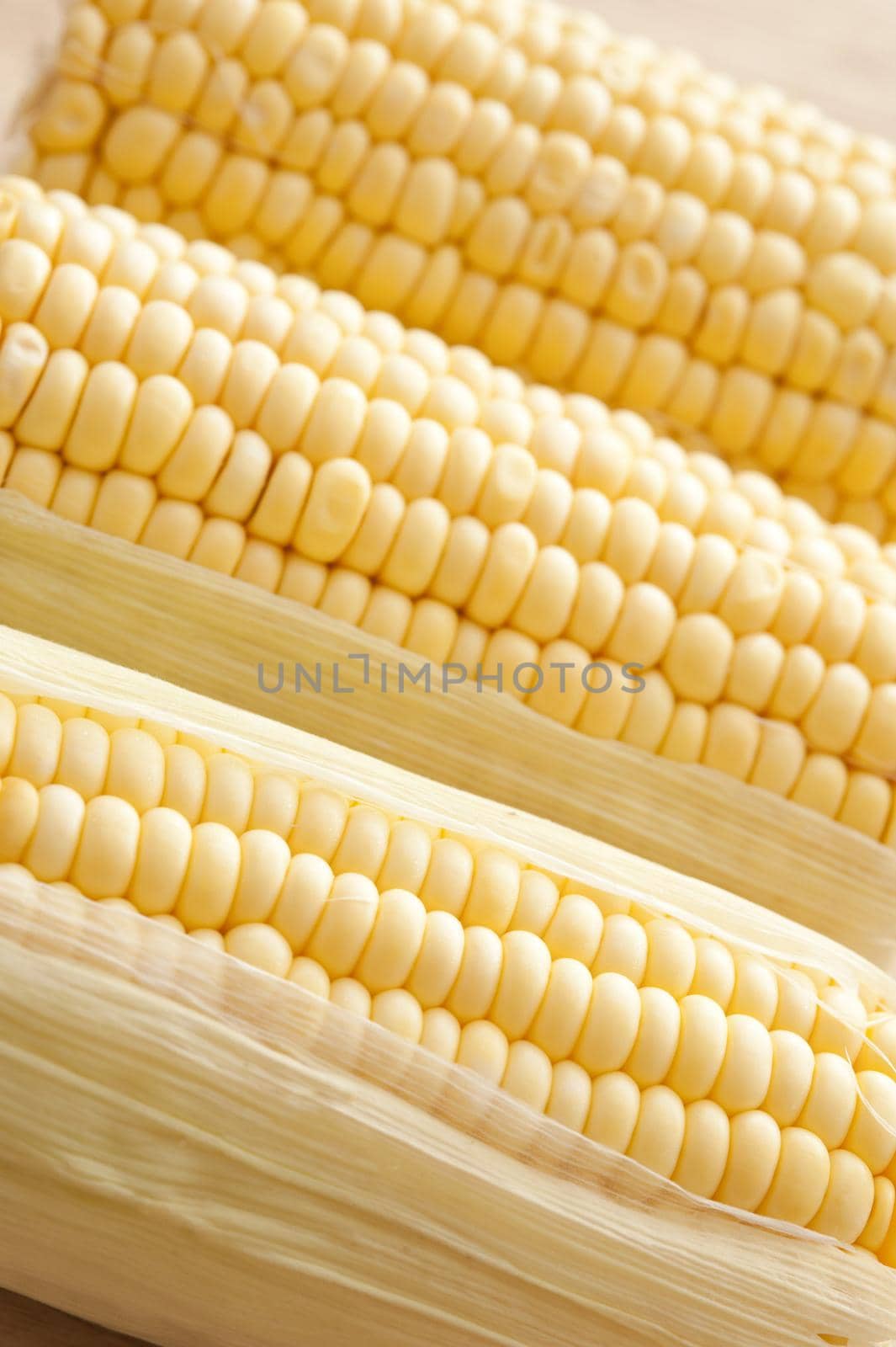 Three uncooked raw sweetcorn cobs with the fresh juicy kernels exposed in an oblique row