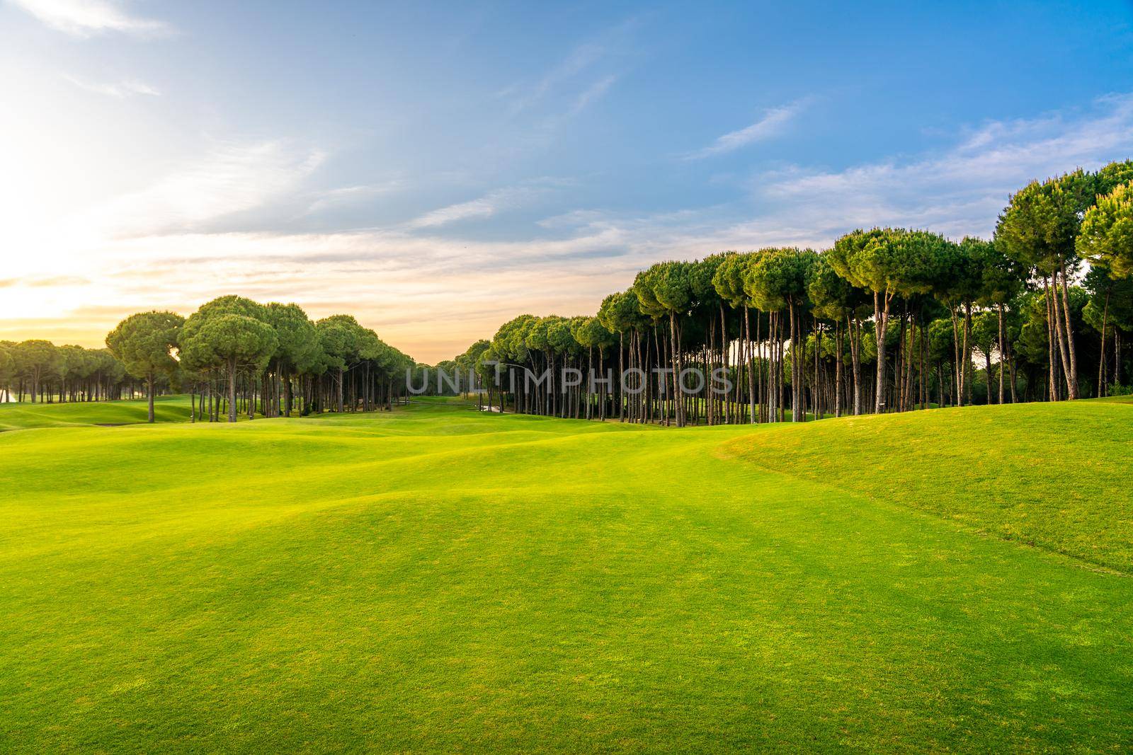 Golf course at sunset with beautiful sky. Scenic panoramic view of golf fairway