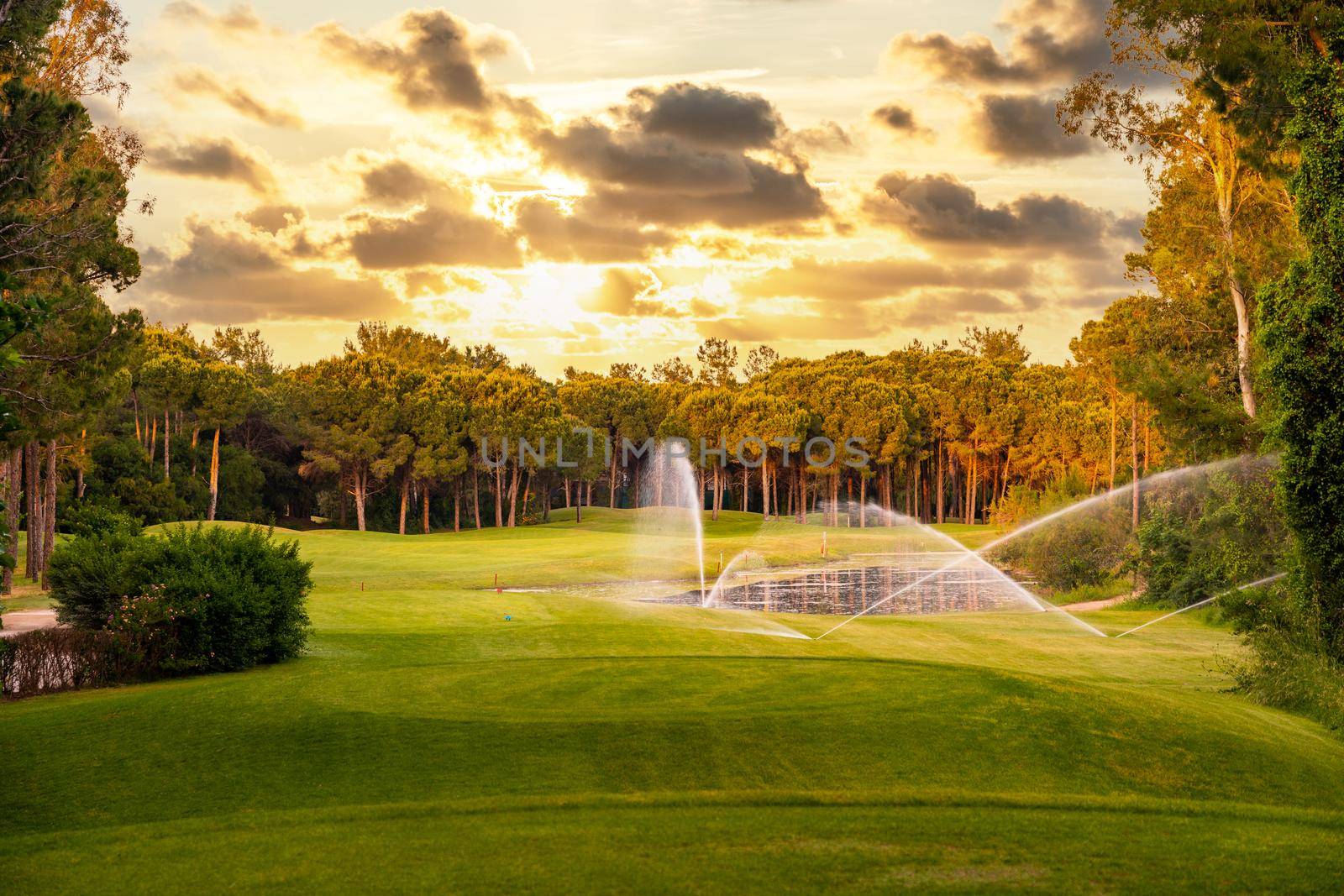 Golf course at sunset with beautiful sky. Scenic panoramic view of golf fairway