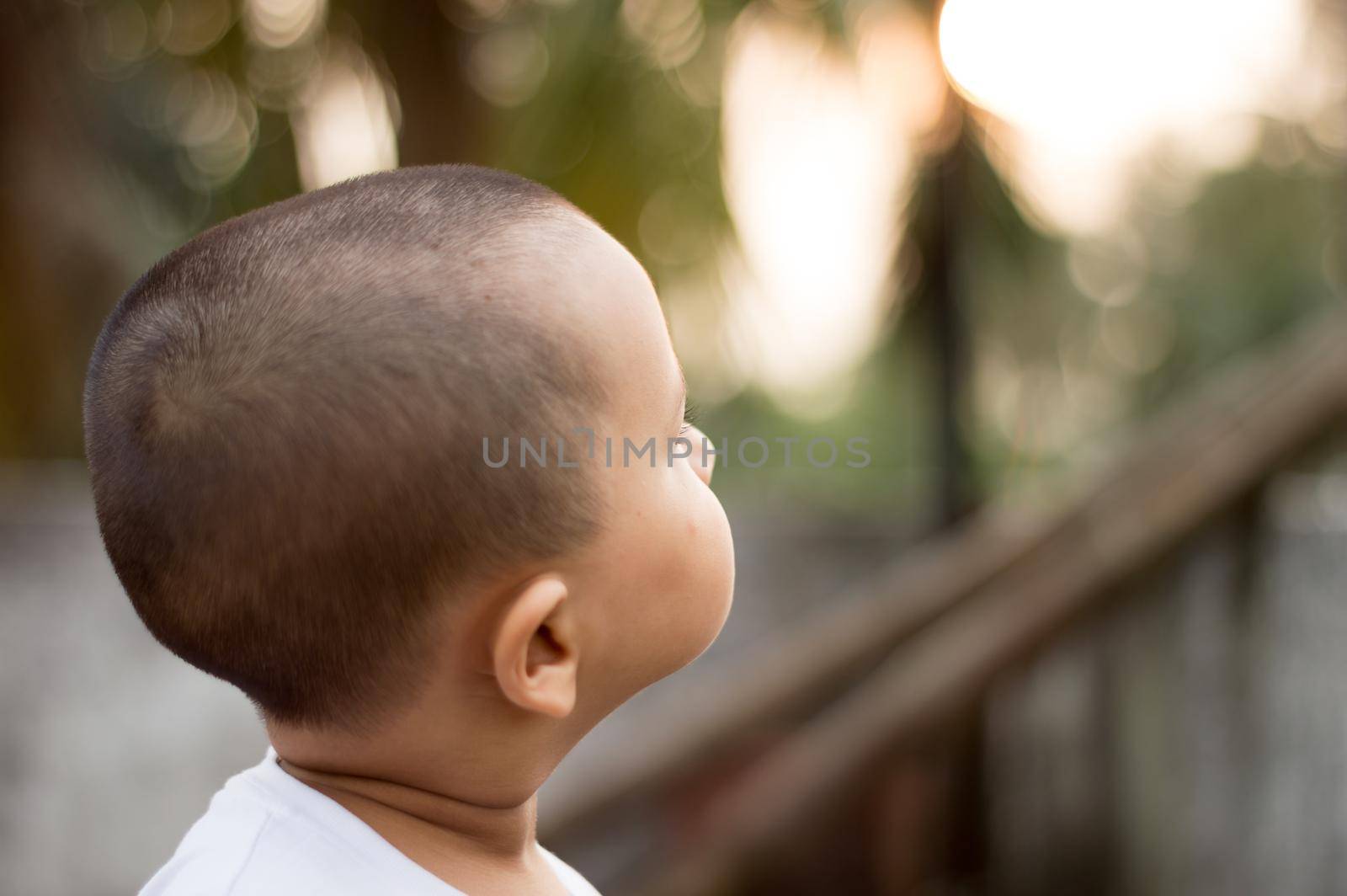 Close up Adorable baby boy in the evening sunlight looking at the Sunset sky. Little child at outdoors. Kid exploring nature. Hope concept. Rear View.