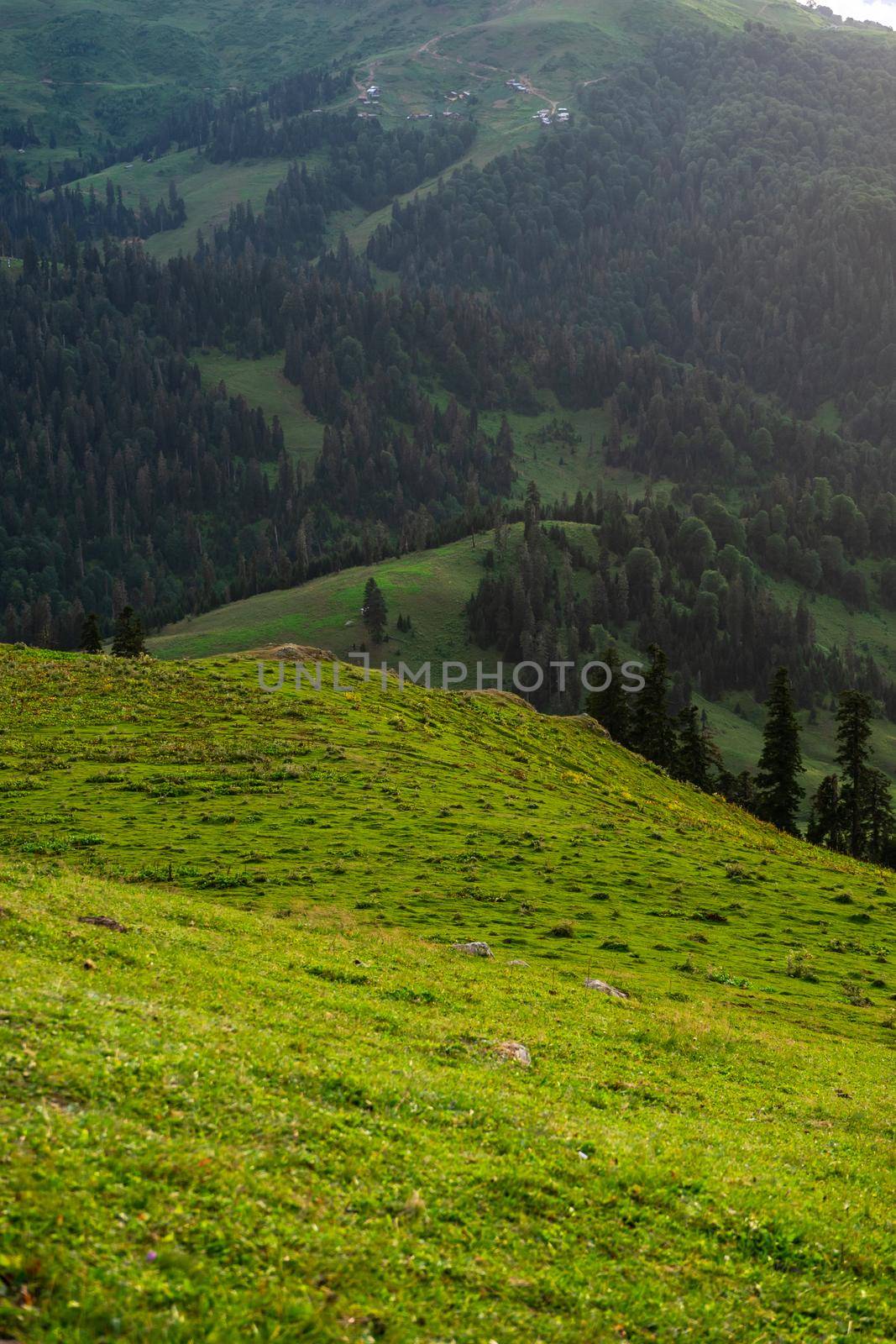 Caucasus mountain in Guria region of Georgia by Elet