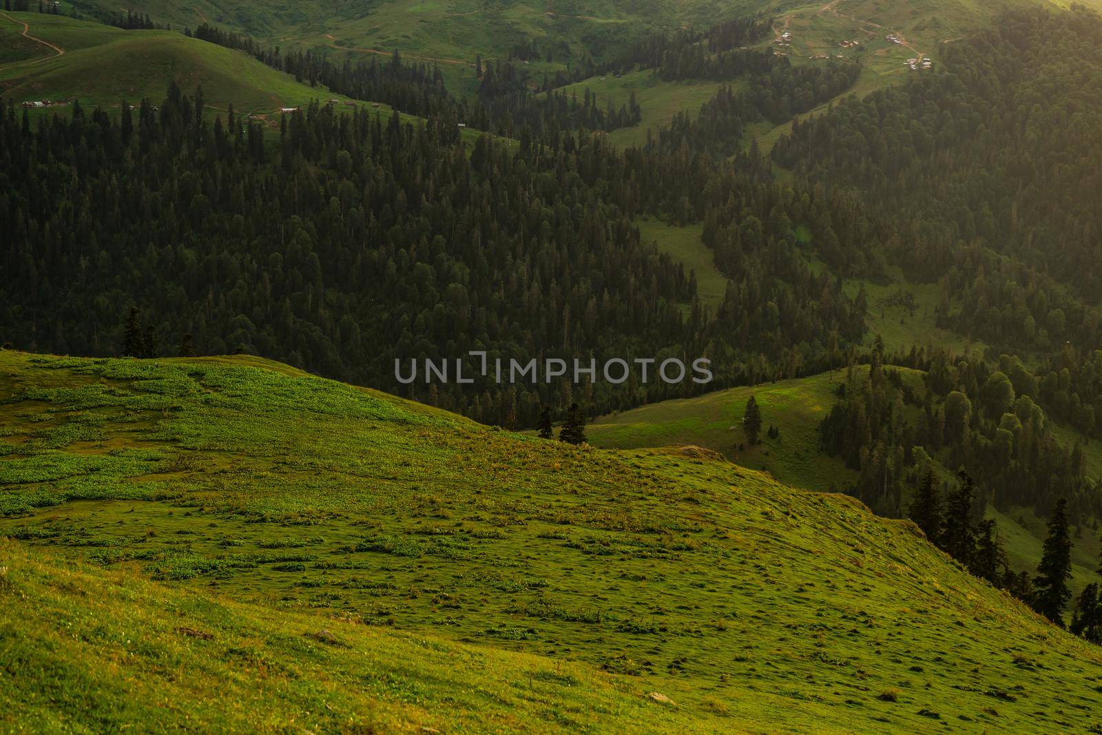Green slopes of mountain of Bakhmaro resort in Guria, Georgia