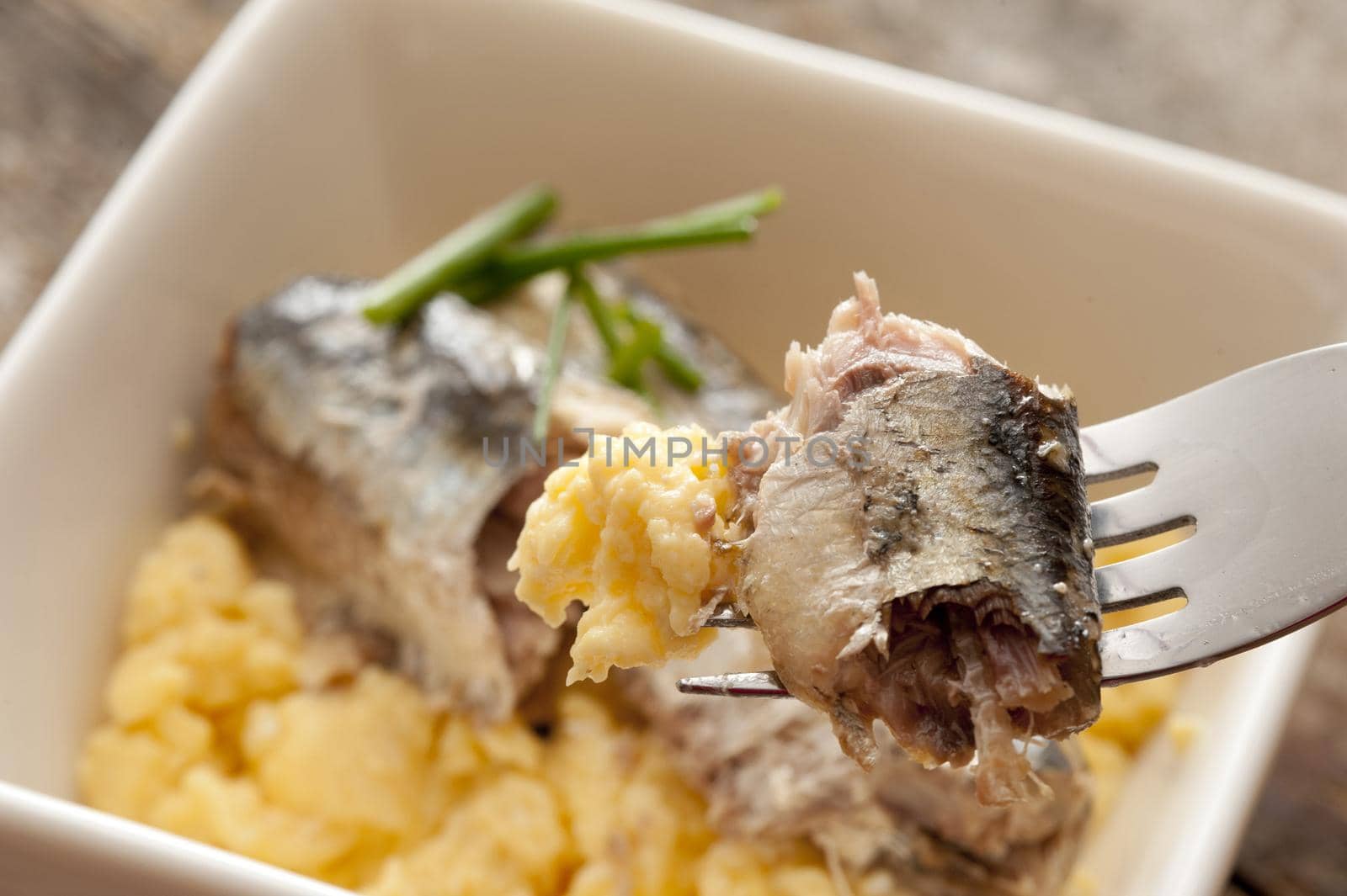 Close up of sardines on fork above delicious scrambled egg breakfast garnished with green garlic chives