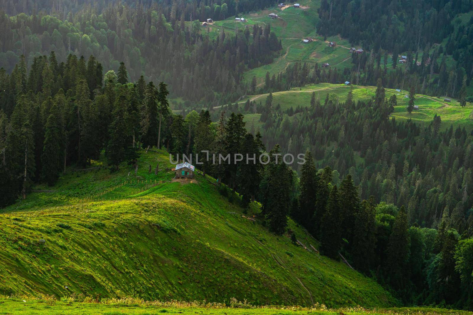 Green slopes of mountain of Bakhmaro resort in Guria, Georgia