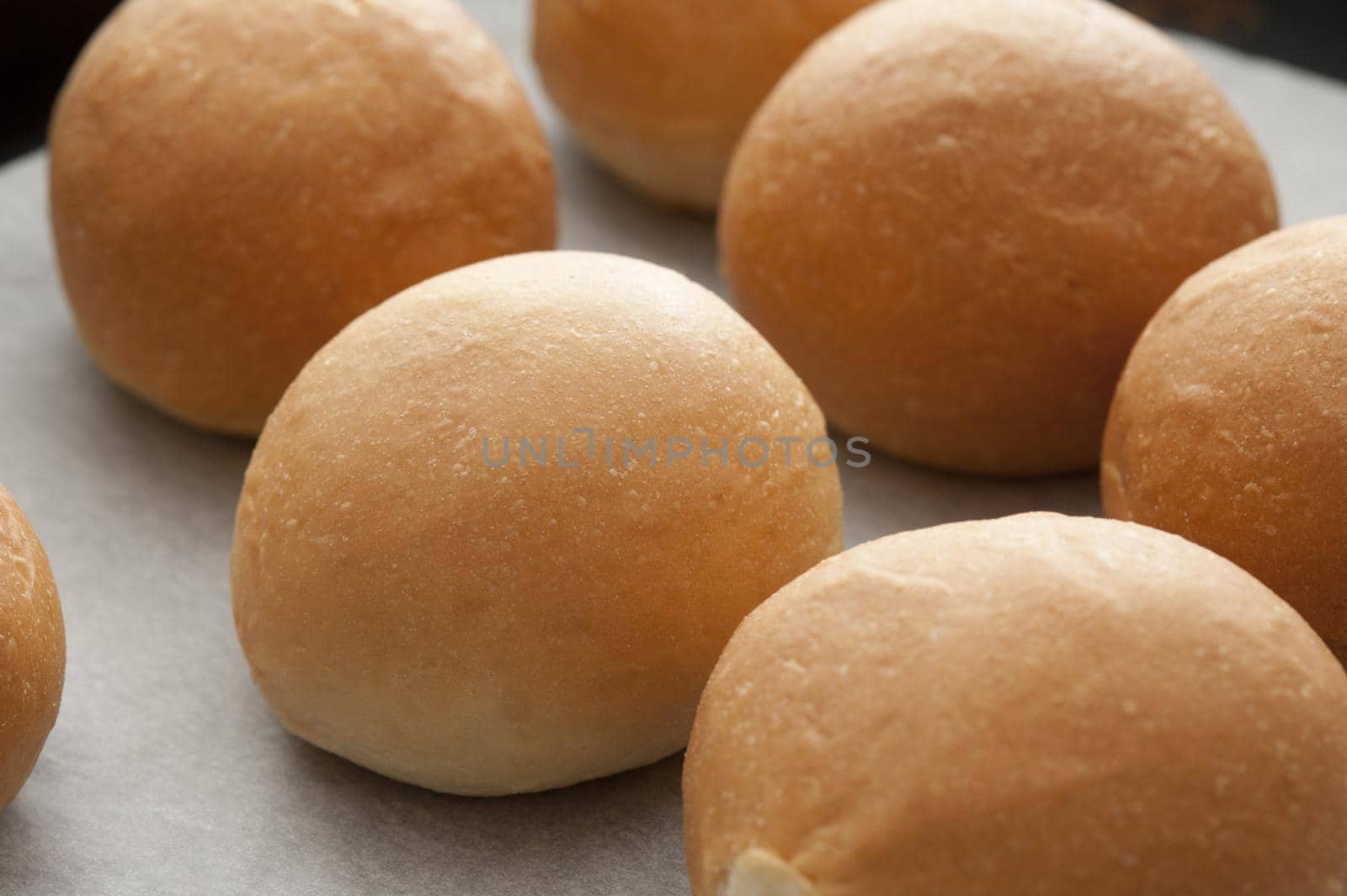 Close up view of a batch of fresh crusty round white brioche rolls laid out in rows