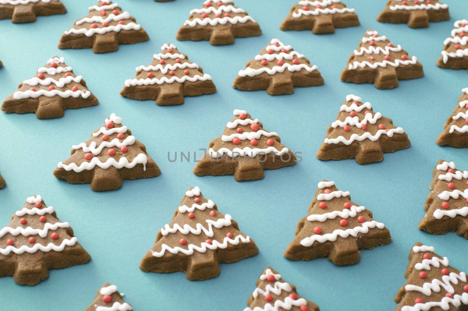Iced gingerbread Christmas tree cookie background neatly laid out on a blue background in a high angle view