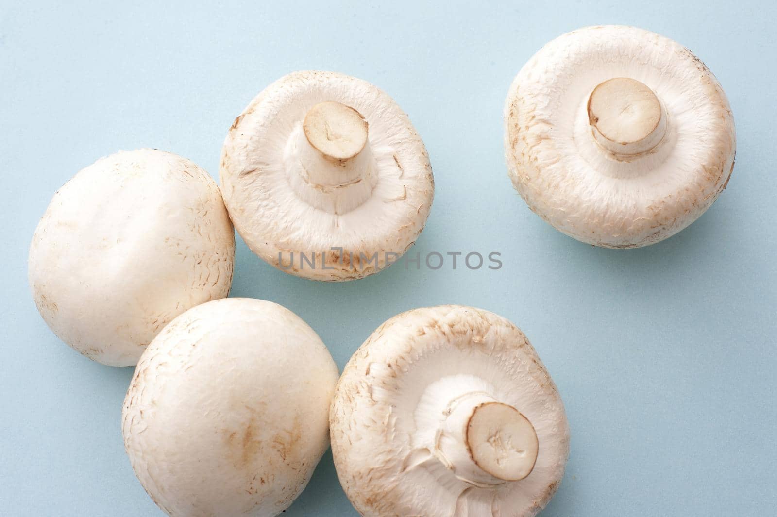 Five white mushrooms on blue background