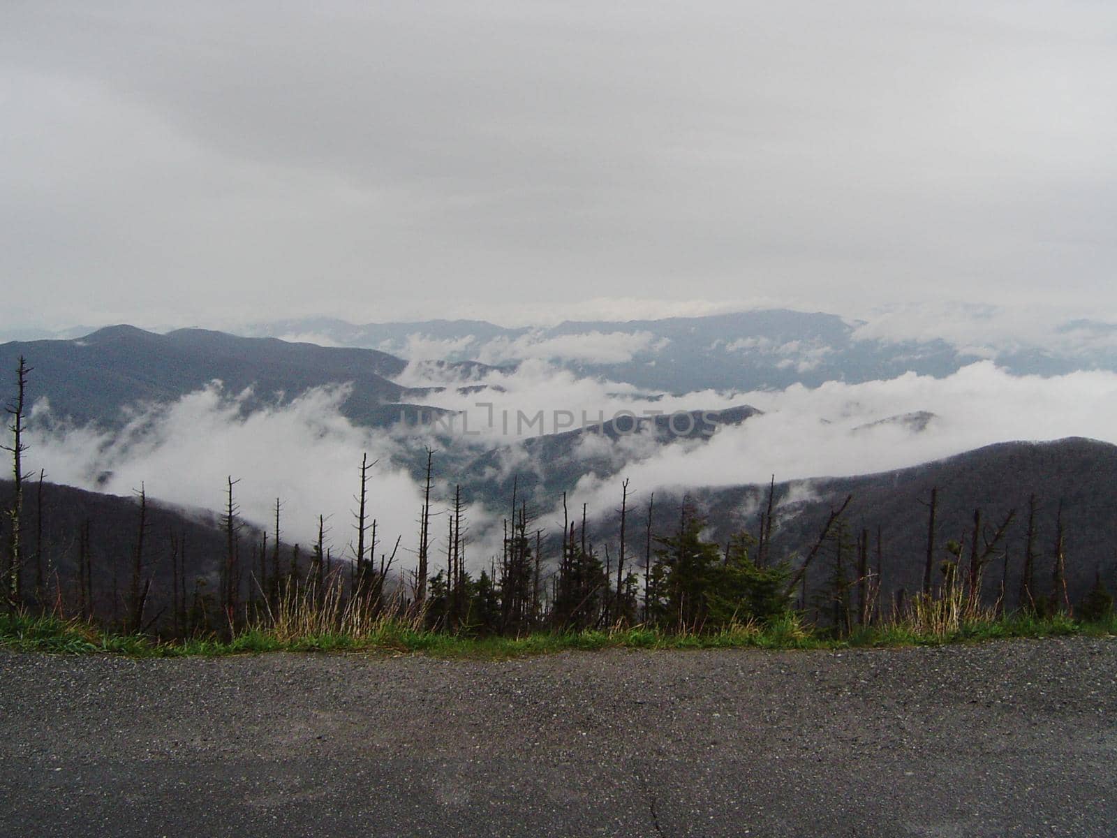 a generic wilderness alpine mountain view