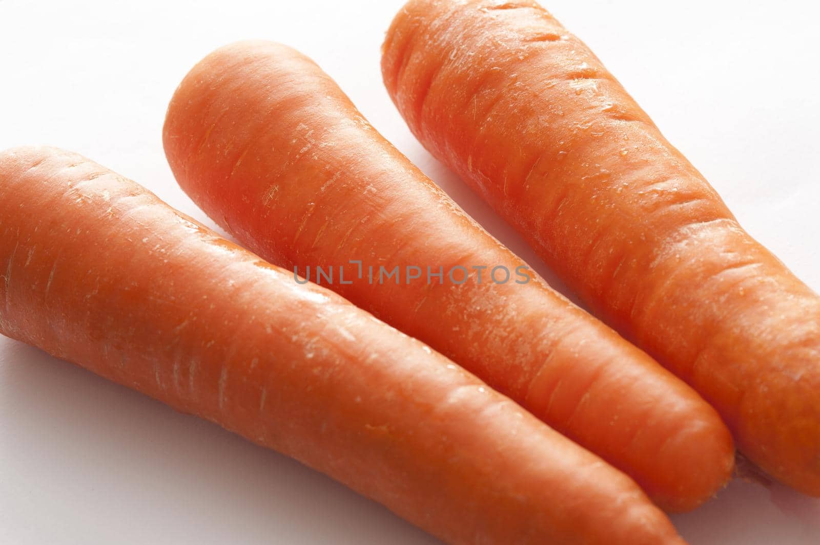 Trio of fresh raw carrots in a close up view for use as a healthy ingredient in salads and cooking, rich in carotene