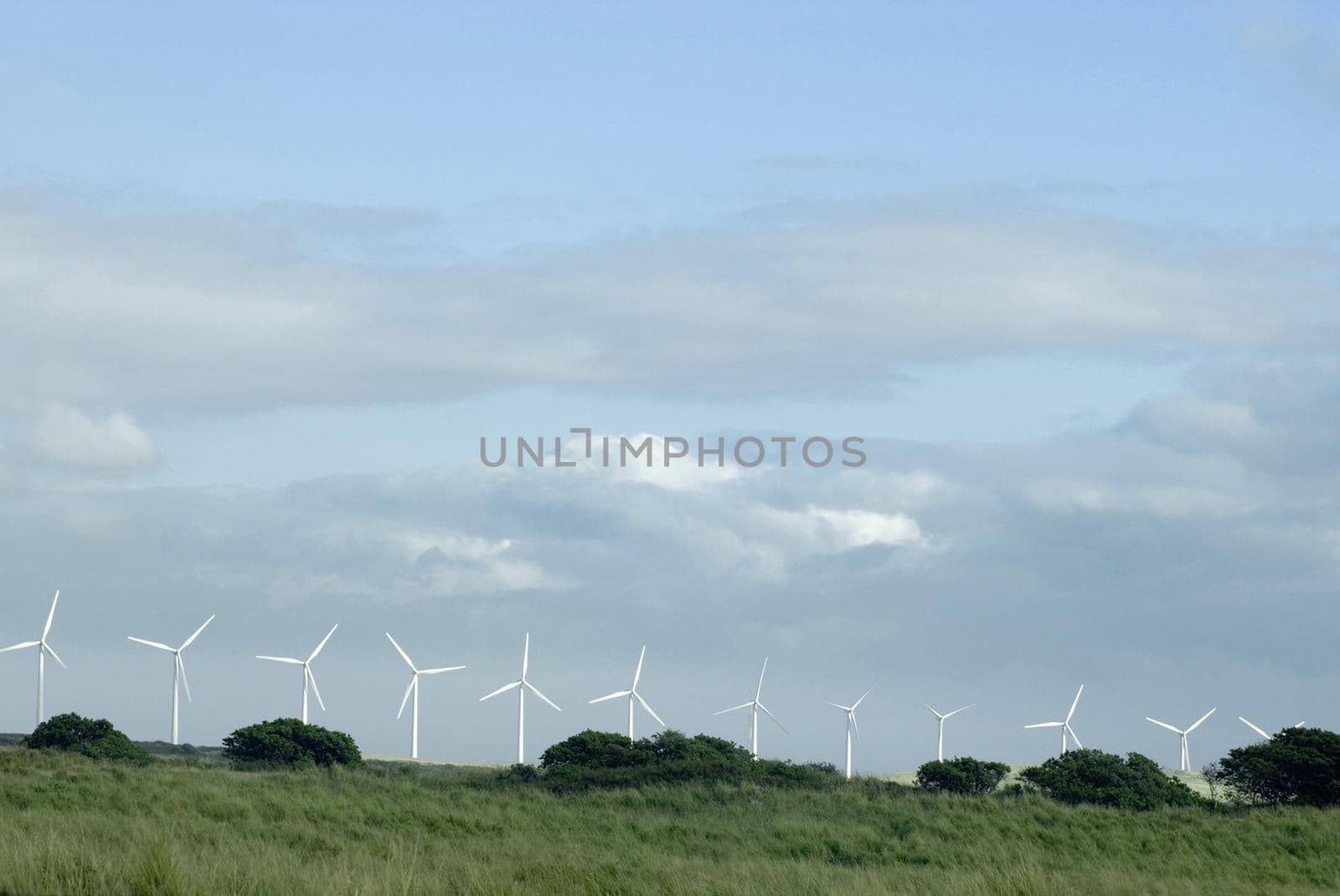 wind turbines lined up on a hill