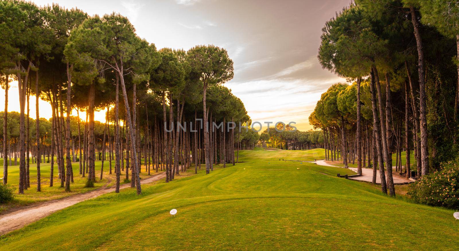 teeing area at Golf course at sunset with beautiful sky. Scenic panoramic view of golf fairway
