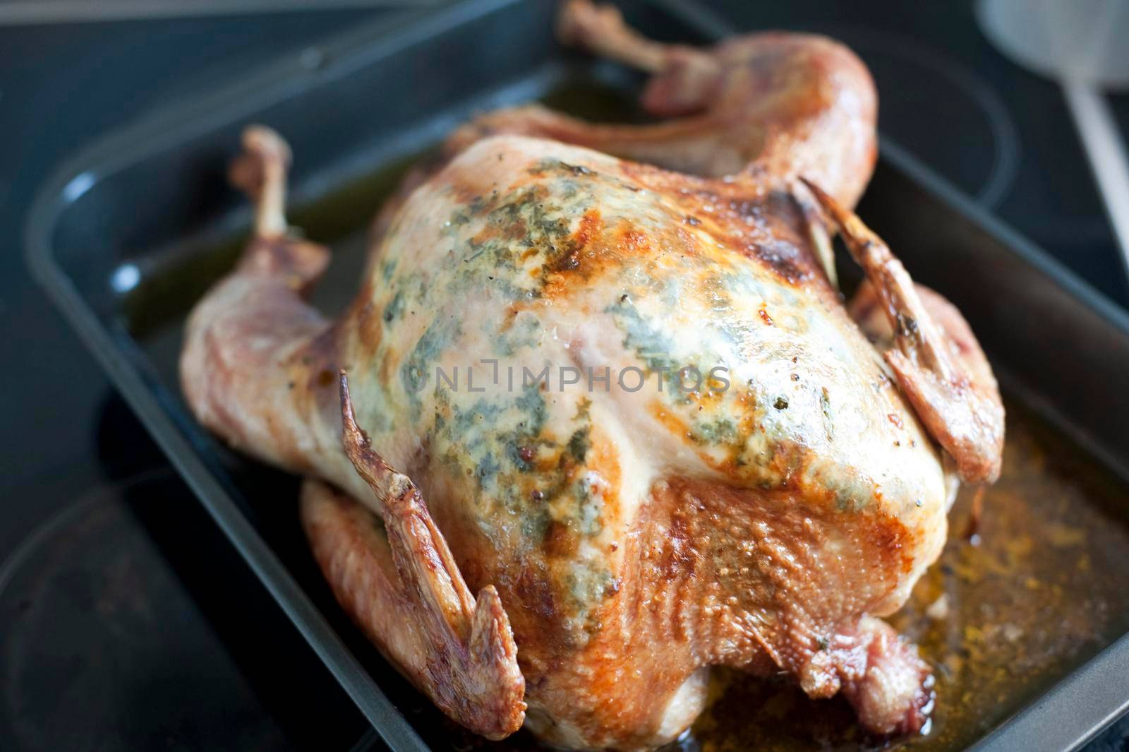 Thanksgiving or Christmas roast turkey in an oven pan during preparation of a festive nutritious meal