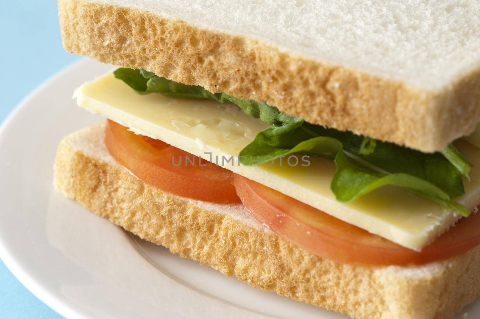 Close up on cheese sandwich, with round slices of tomato and lettuce in white ceramic plate