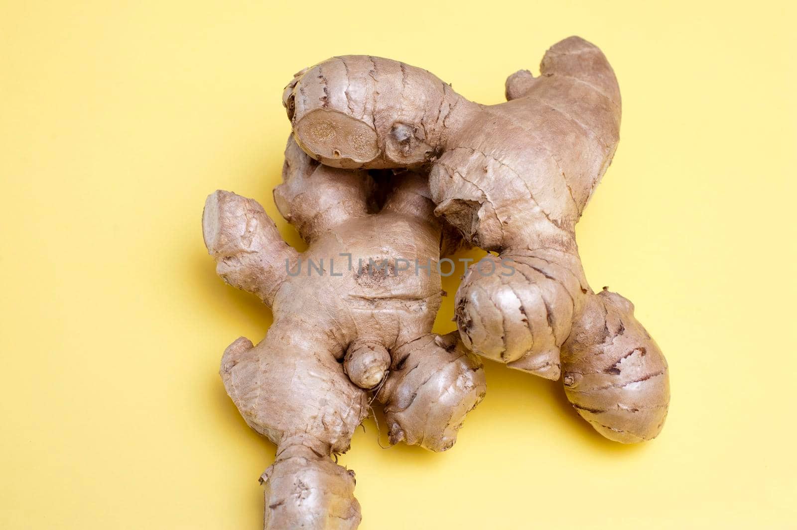 Root ginger, or whole rhizomes of fresh ginger, a pungent spice and flavouring in cooking with medicinal properties