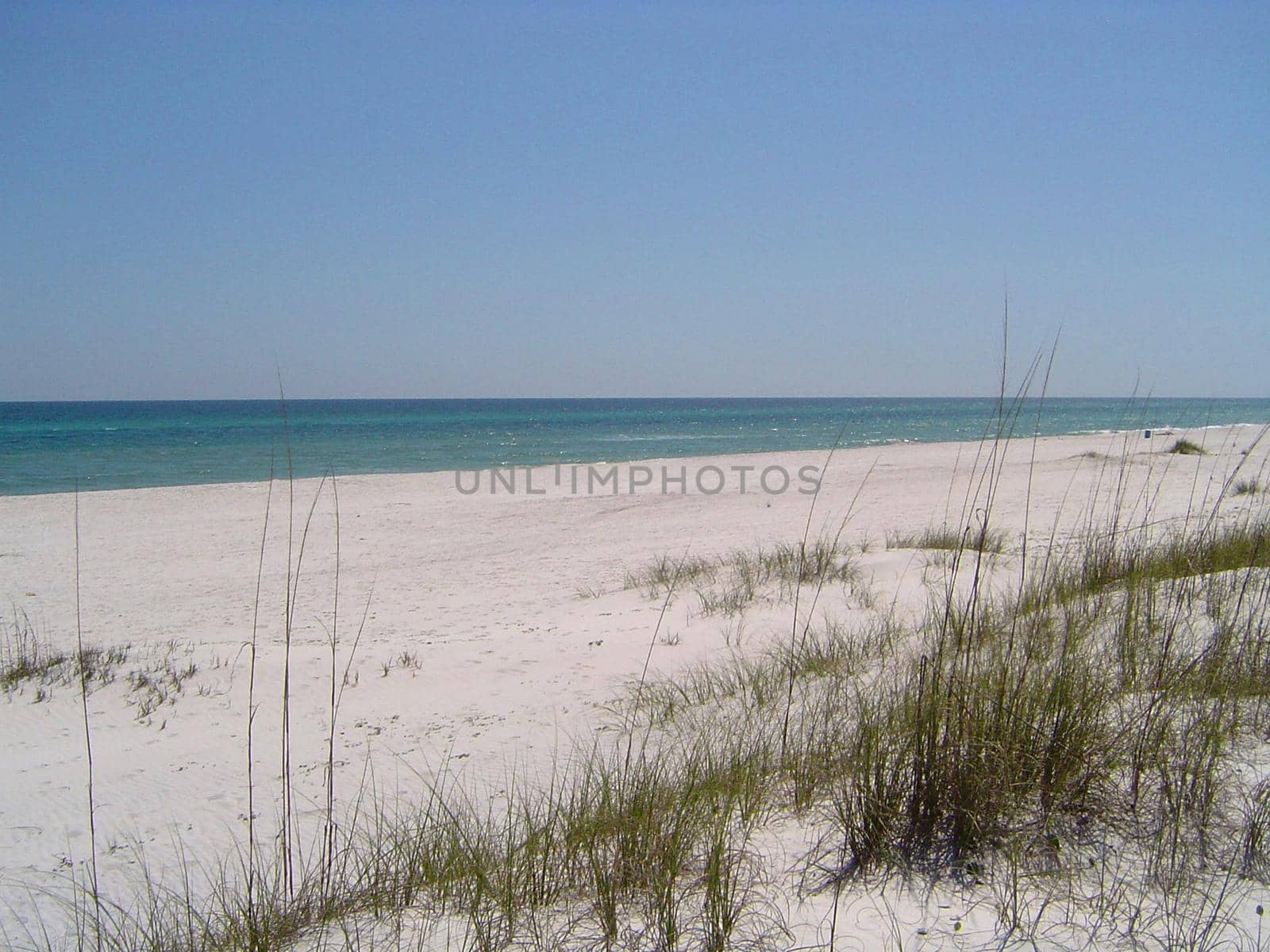 a long sandy beach and dune grasses