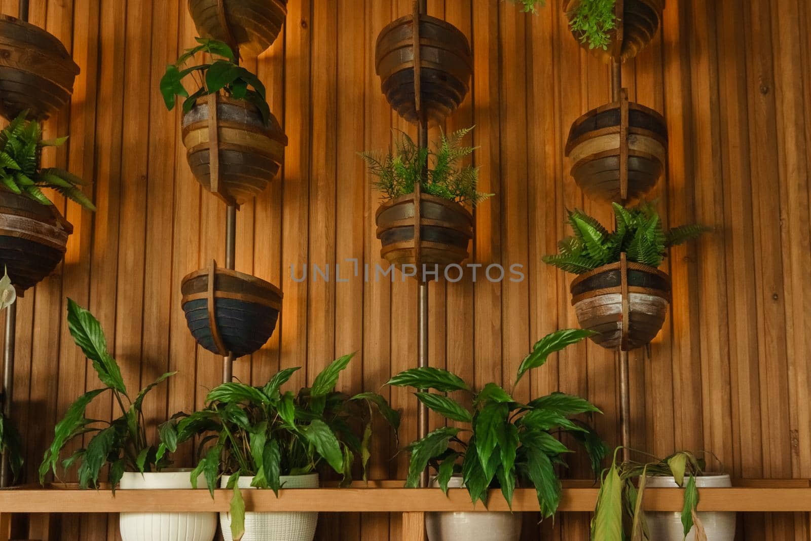 Cafe interior with elements of biophilic design. The concept of biophilia.