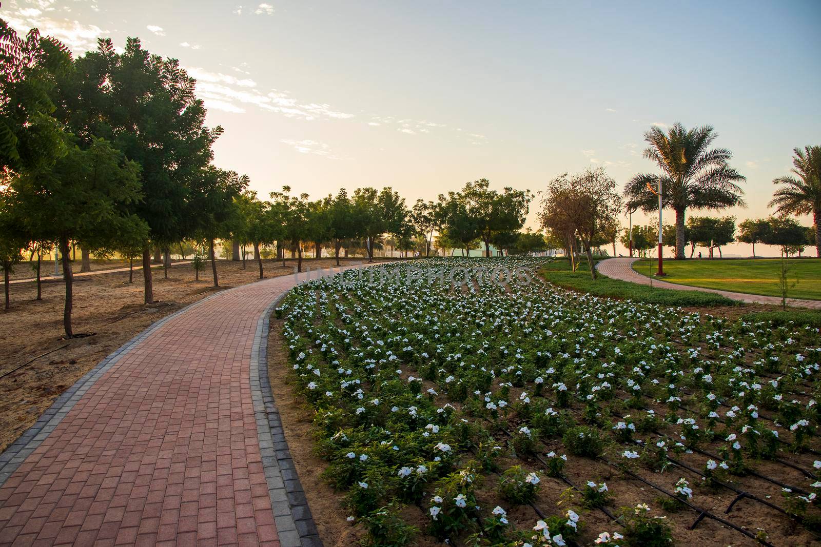 Al Warqa park in Dubai on early morning. UAE.